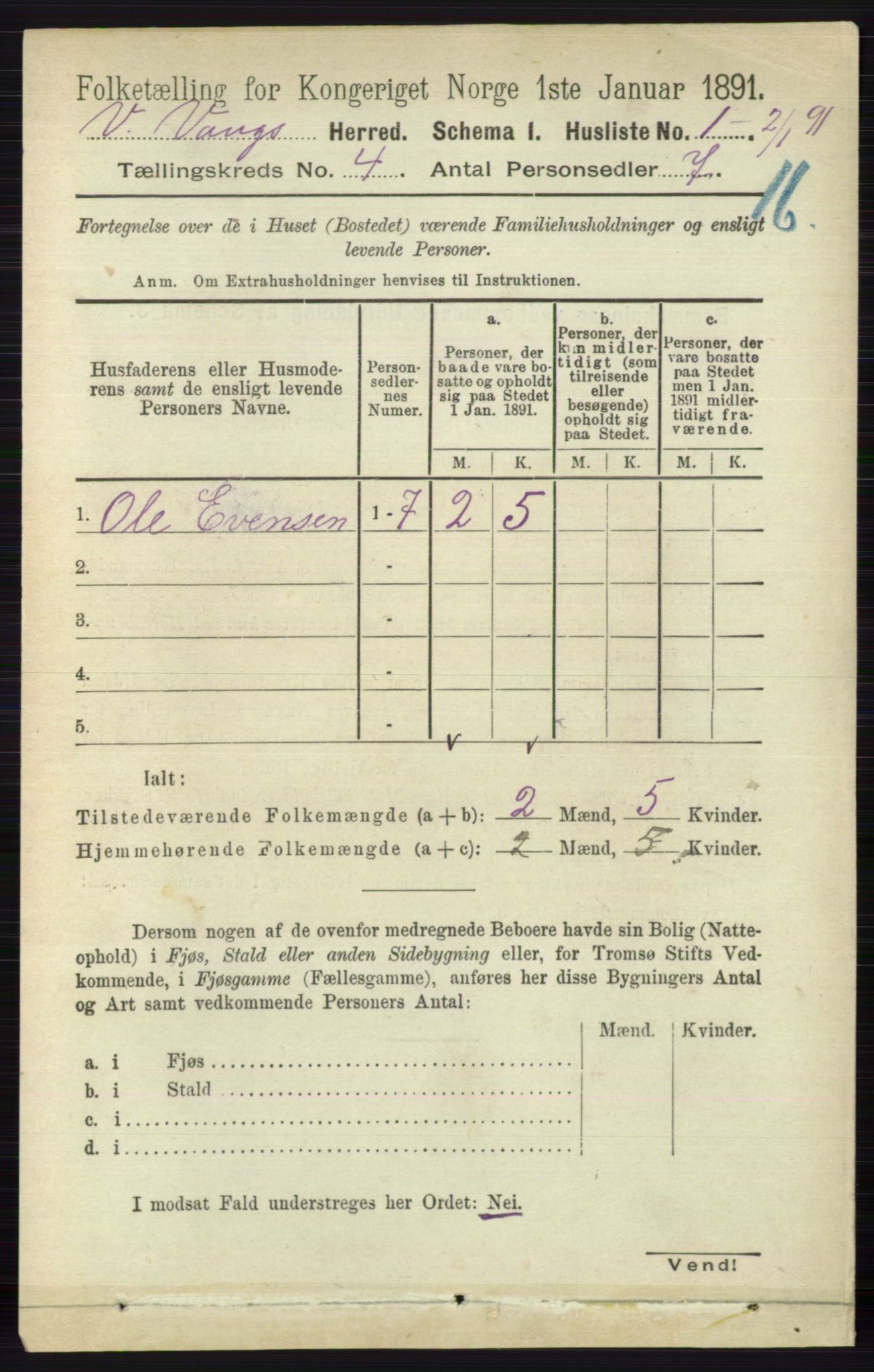 RA, 1891 census for 0545 Vang, 1891, p. 875