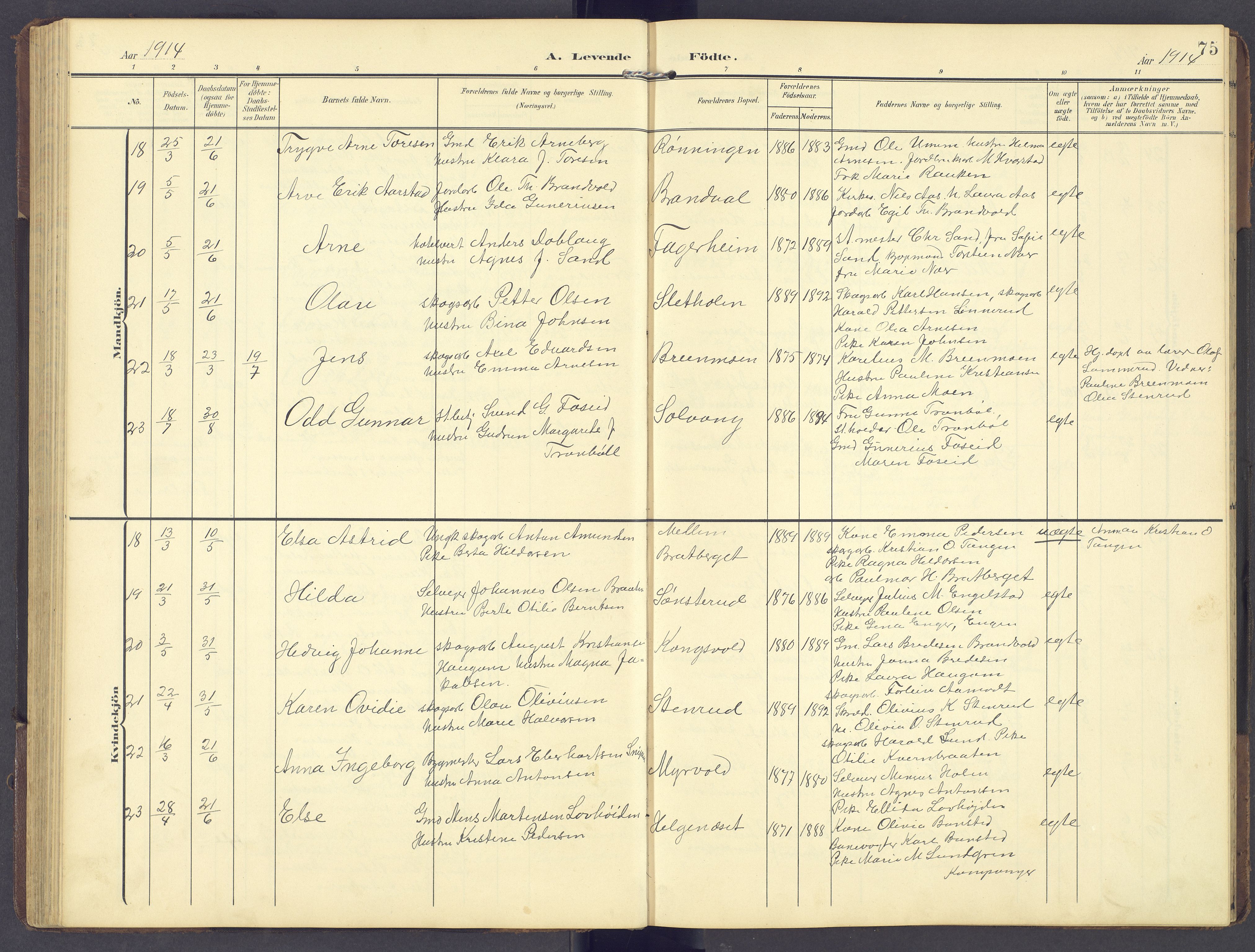 Brandval prestekontor, AV/SAH-PREST-034/H/Ha/Hab/L0003: Parish register (copy) no. 3, 1904-1917, p. 75