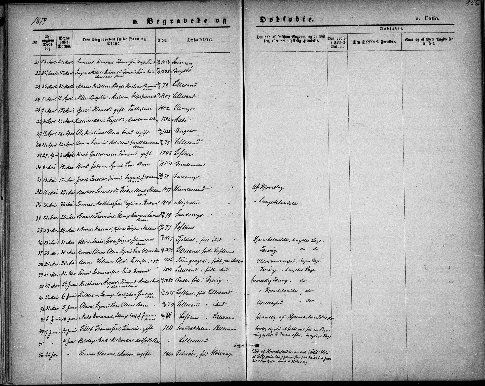 Vestre Moland sokneprestkontor, AV/SAK-1111-0046/F/Fb/Fbb/L0005: Parish register (copy) no. B 5, 1872-1883, p. 255