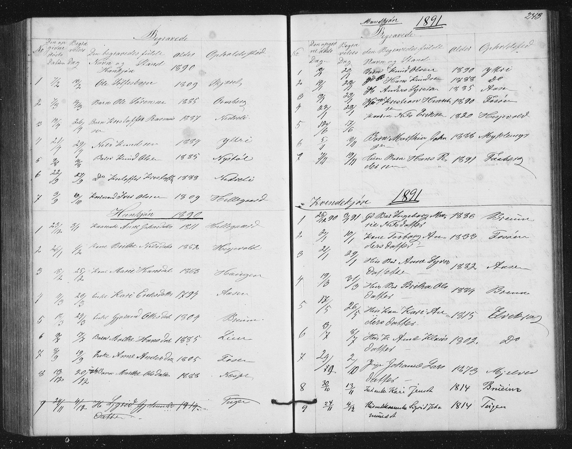 Jostedal sokneprestembete, AV/SAB-A-80601/H/Hab/Haba/L0001: Parish register (copy) no. A 1, 1861-1906, p. 243