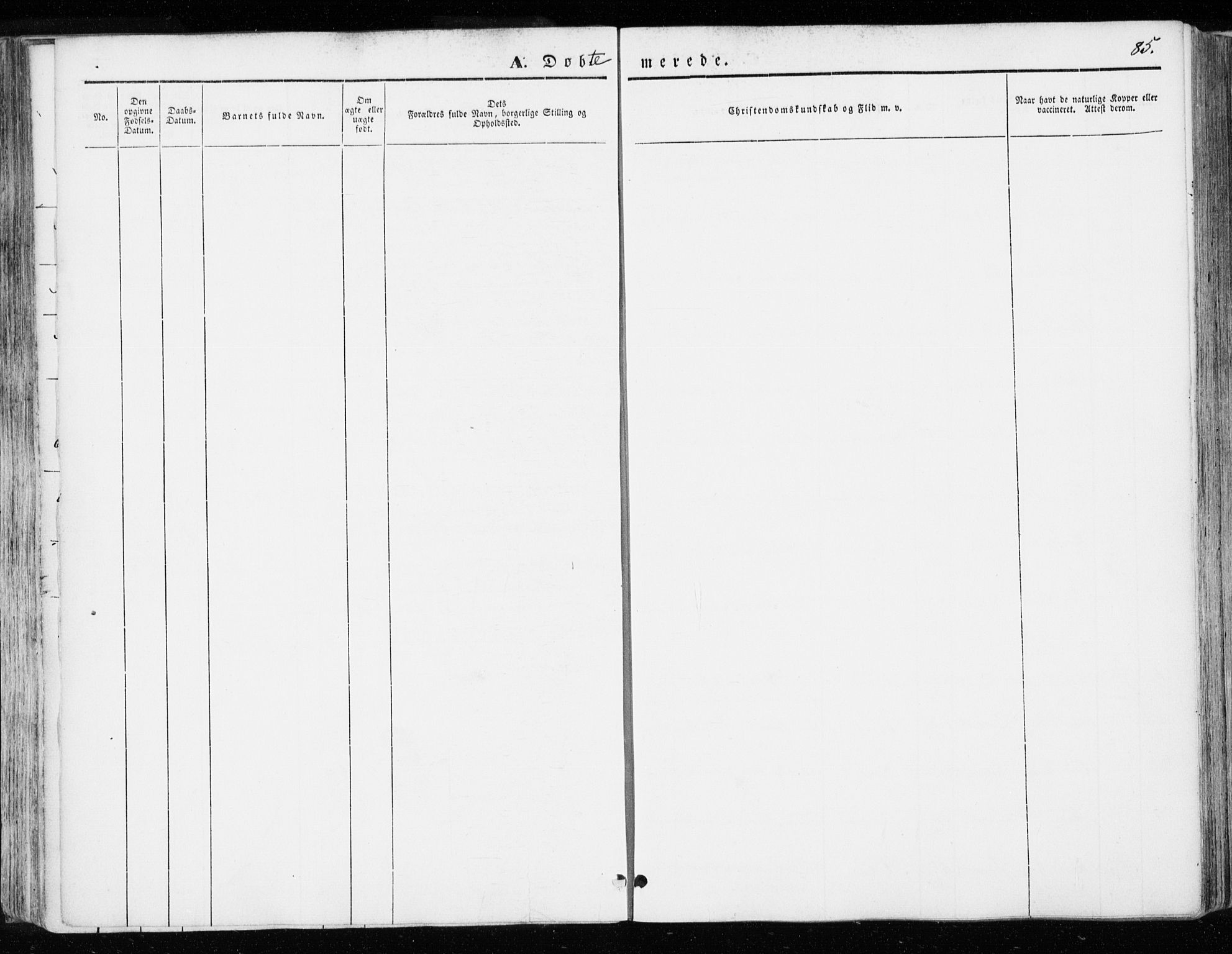 Ministerialprotokoller, klokkerbøker og fødselsregistre - Sør-Trøndelag, AV/SAT-A-1456/655/L0677: Parish register (official) no. 655A06, 1847-1860, p. 85