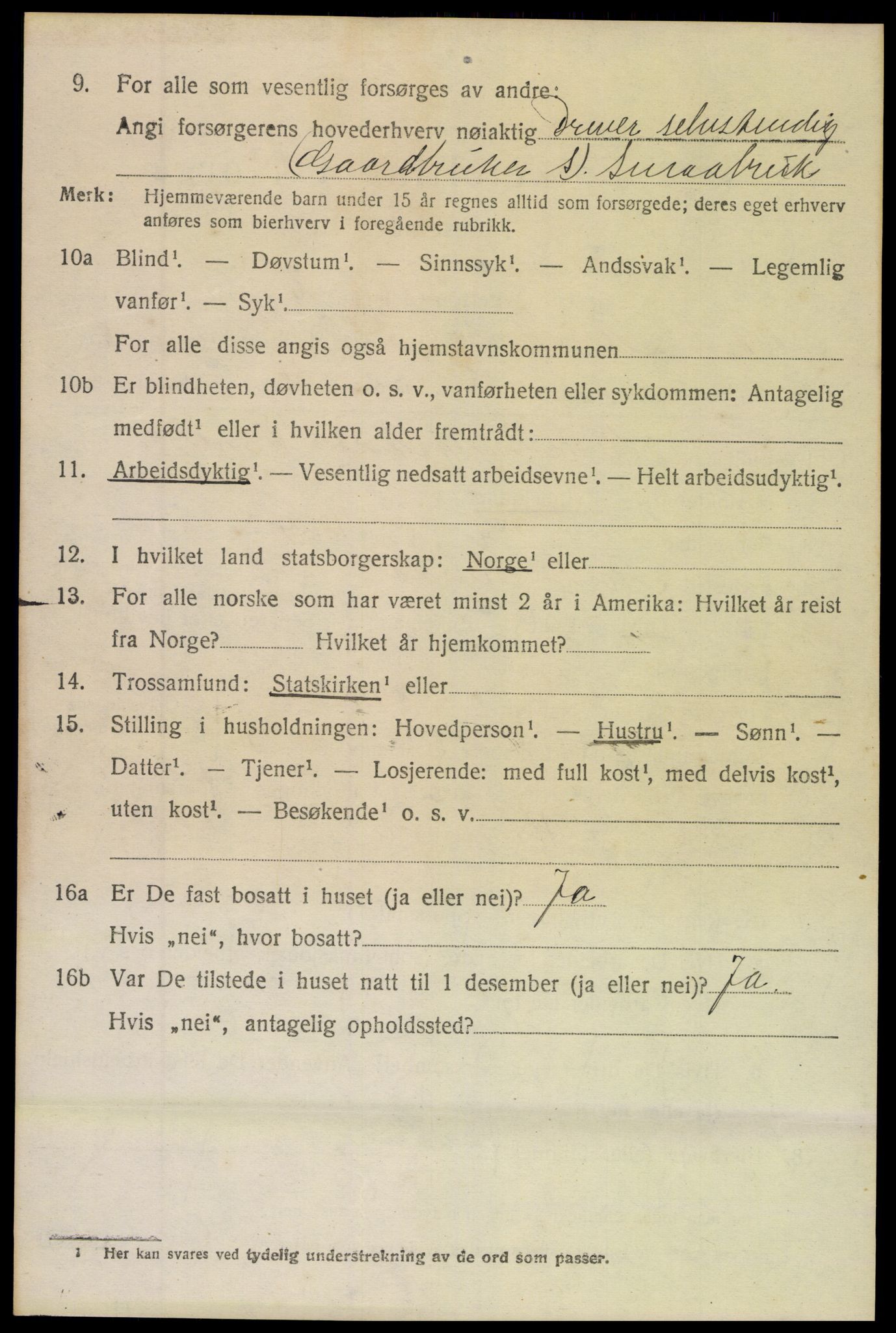 SAH, 1920 census for Nord-Aurdal, 1920, p. 6847