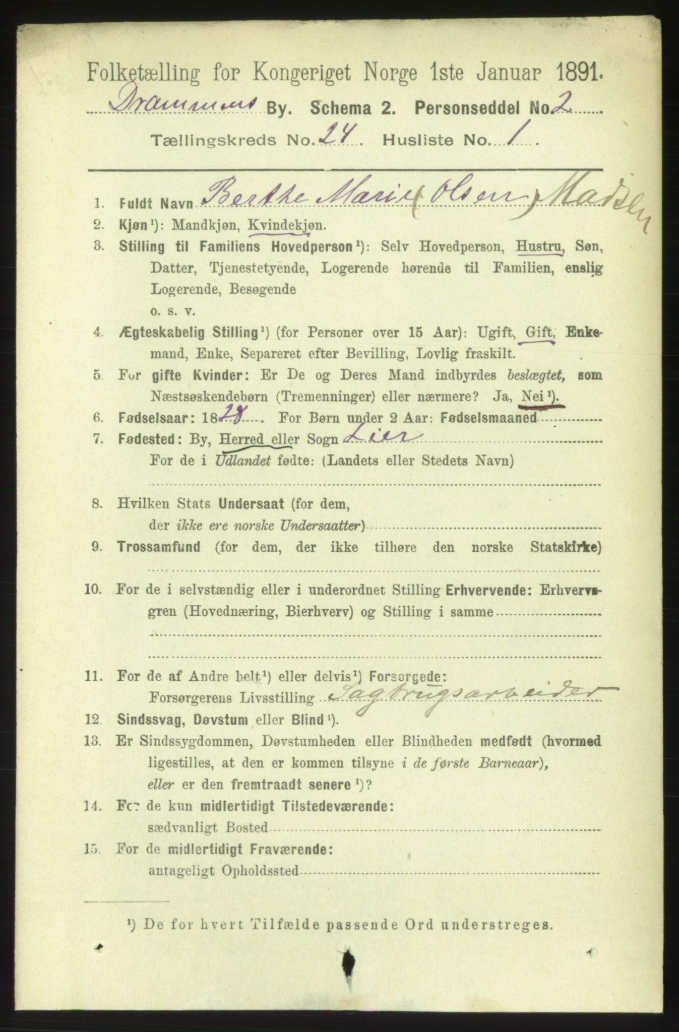 RA, 1891 census for 0602 Drammen, 1891, p. 14718