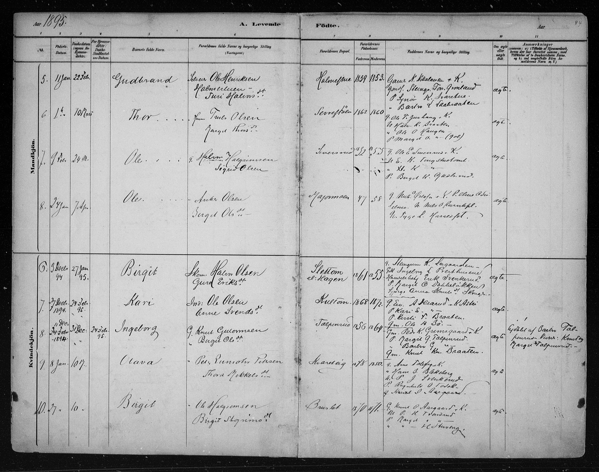 Nes kirkebøker, SAKO/A-236/F/Fa/L0011: Parish register (official) no. 11, 1881-1912, p. 84