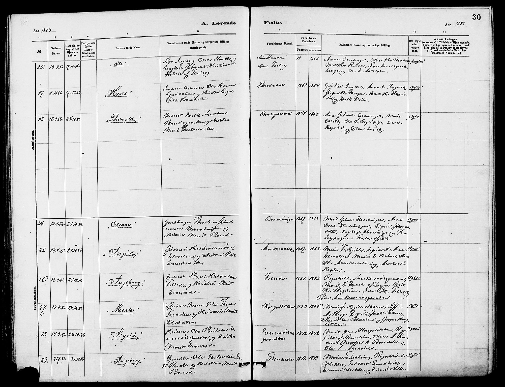 Dovre prestekontor, AV/SAH-PREST-066/H/Ha/Hab/L0002: Parish register (copy) no. 2, 1881-1907, p. 30