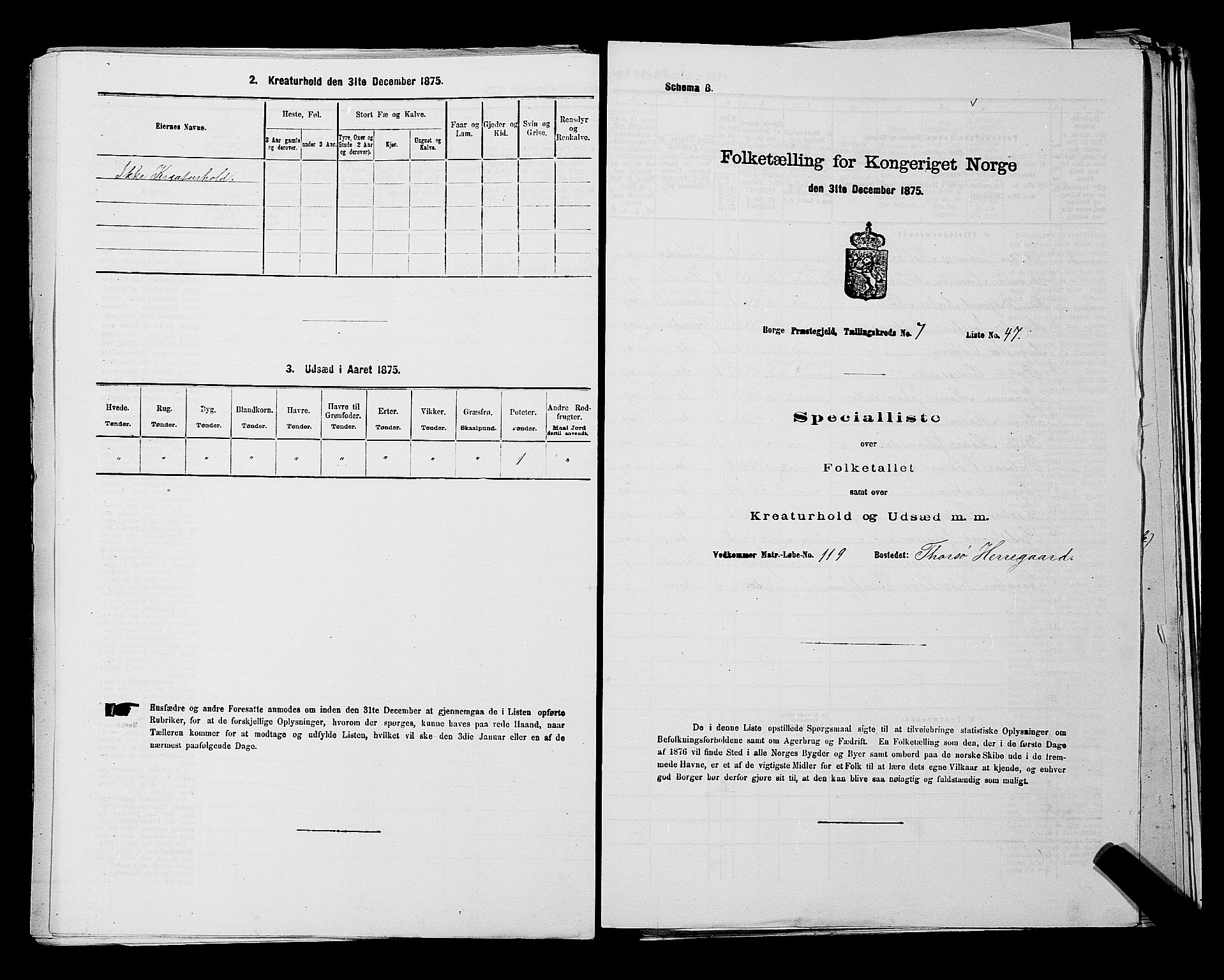 RA, 1875 census for 0113P Borge, 1875, p. 1099