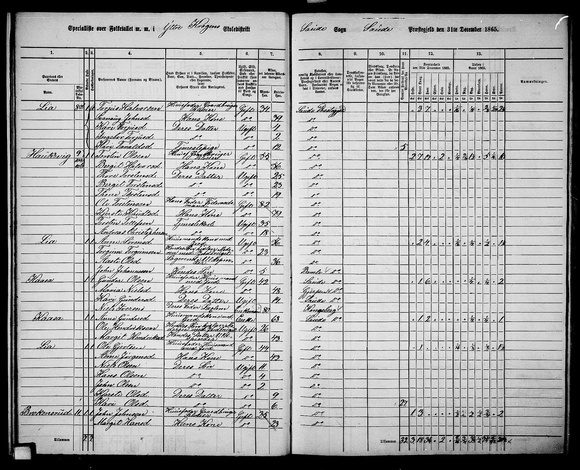 RA, 1865 census for Sauherad, 1865, p. 17