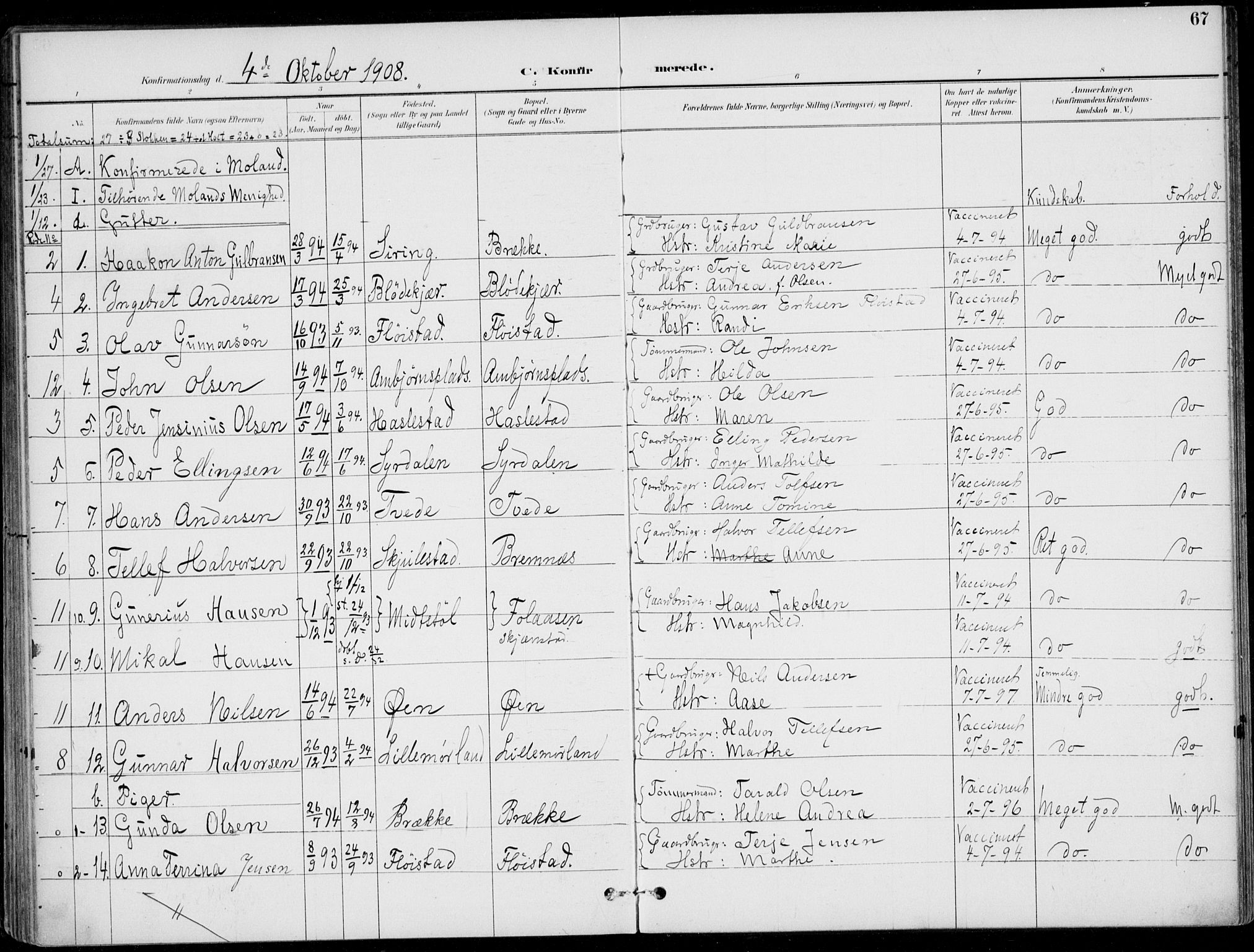 Austre Moland sokneprestkontor, SAK/1111-0001/F/Fa/Faa/L0011: Parish register (official) no. A 11, 1894-1915, p. 67