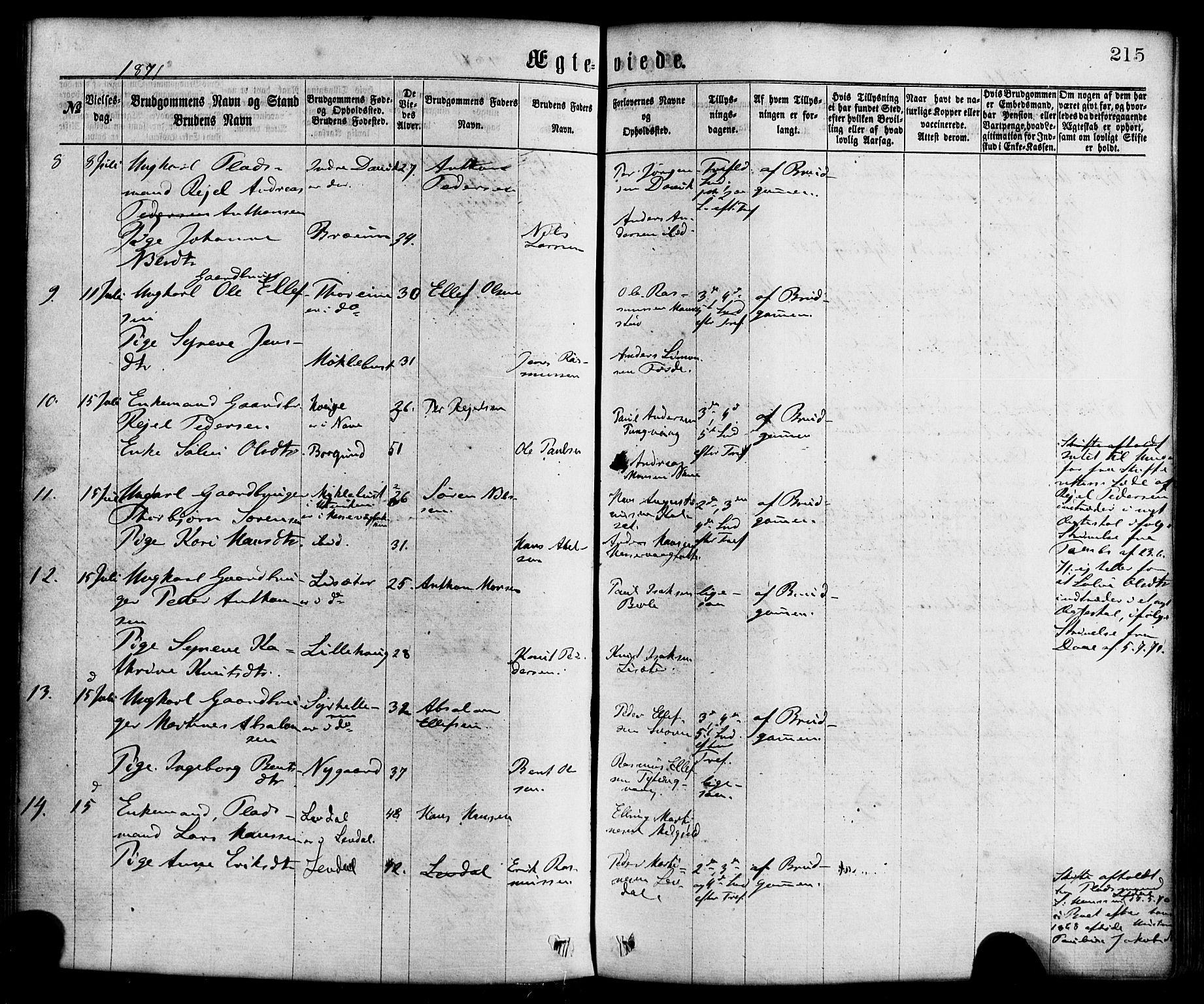 Davik sokneprestembete, AV/SAB-A-79701/H/Haa/Haaa/L0006: Parish register (official) no. A 6, 1867-1881, p. 215