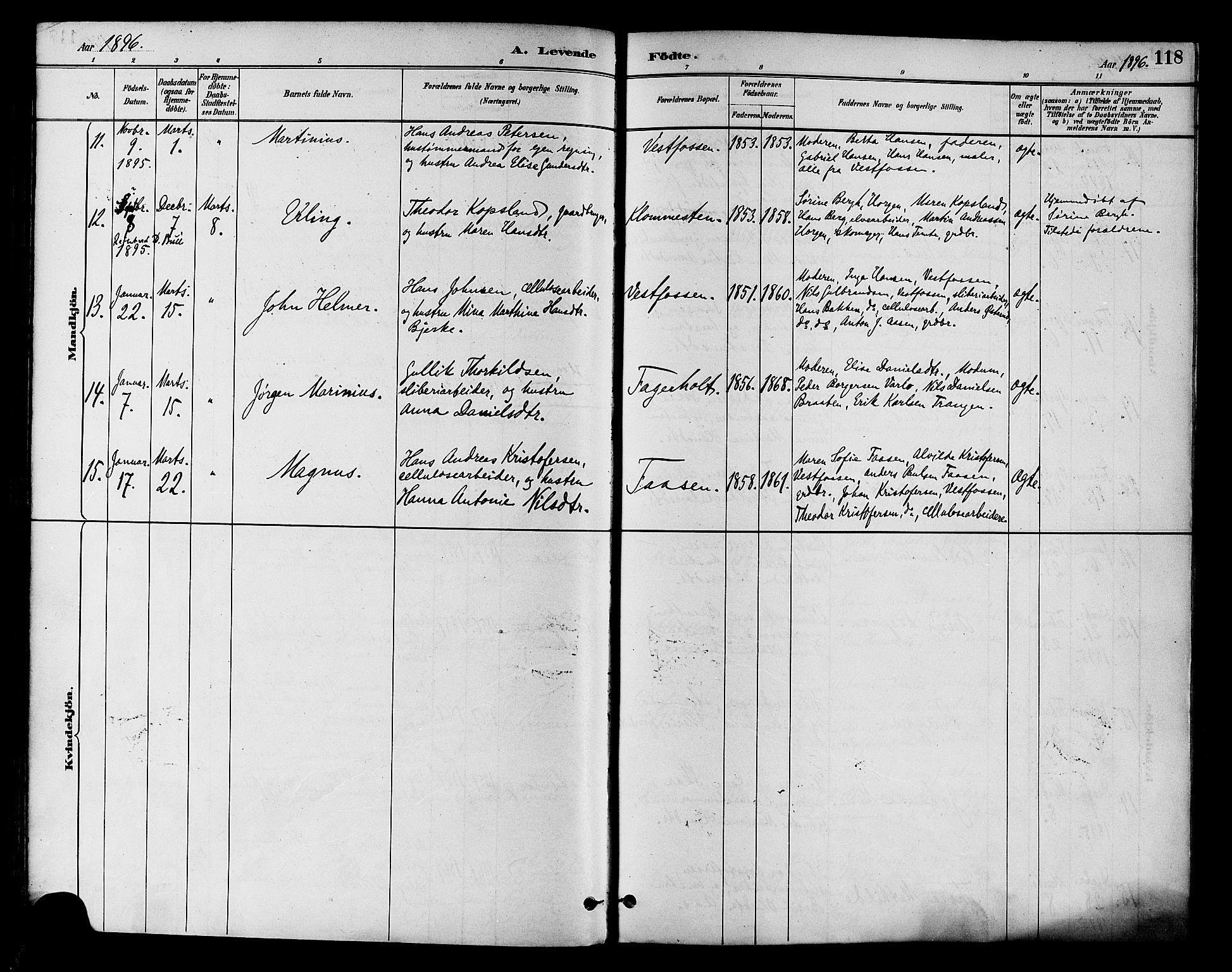 Eiker kirkebøker, AV/SAKO-A-4/F/Fb/L0002: Parish register (official) no. II 2, 1889-1896, p. 118