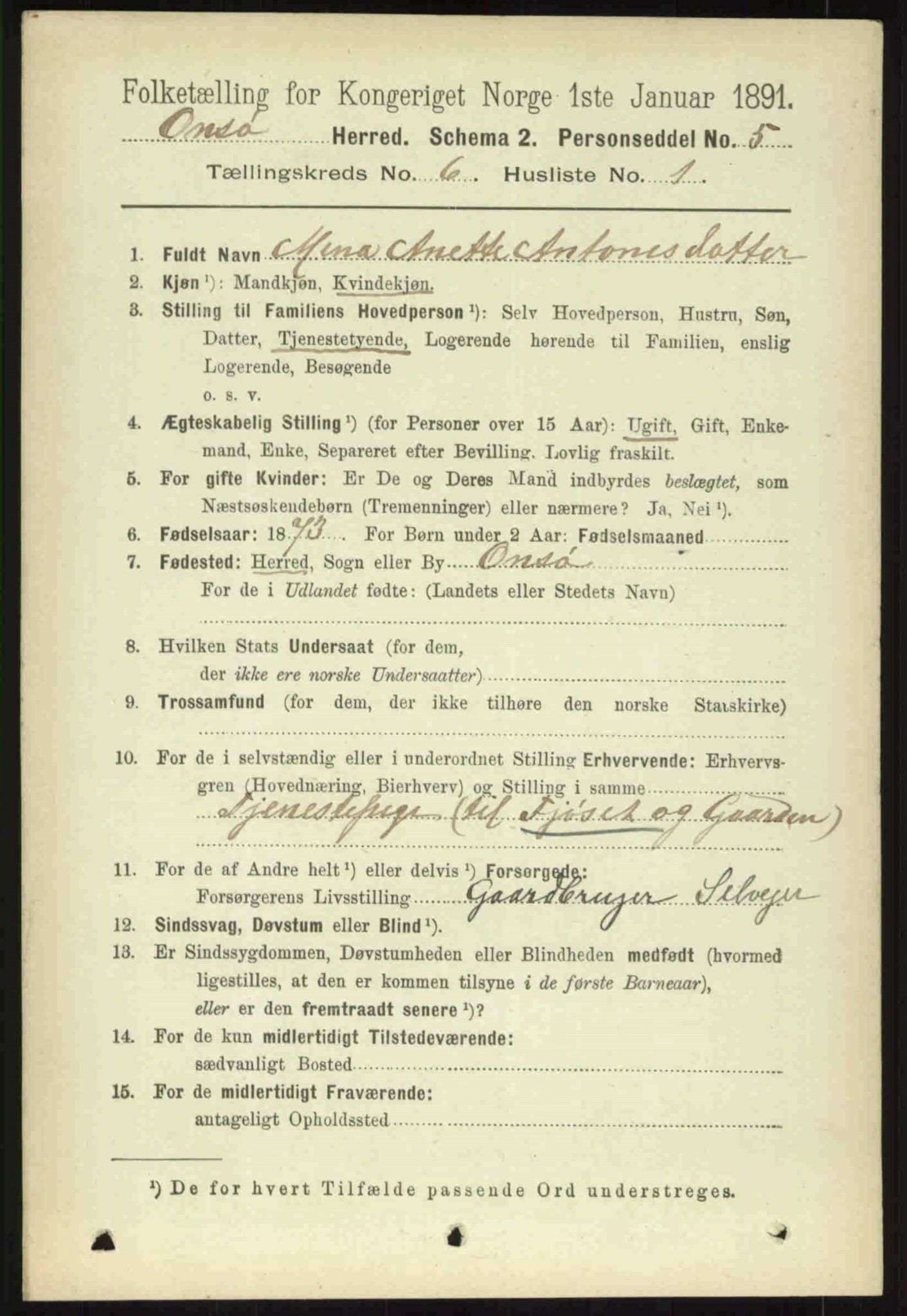 RA, 1891 census for 0134 Onsøy, 1891, p. 5066