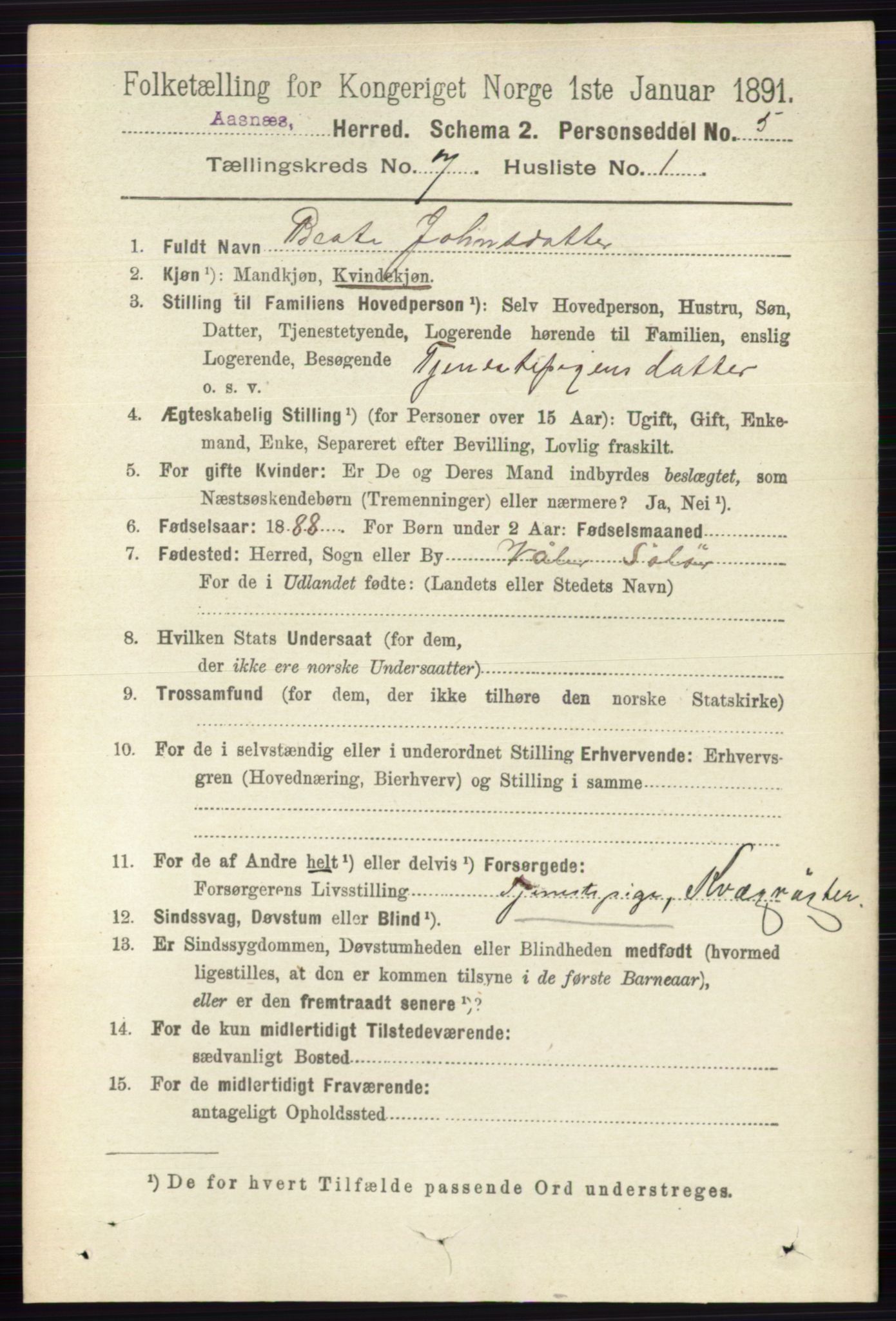 RA, 1891 census for 0425 Åsnes, 1891, p. 3376