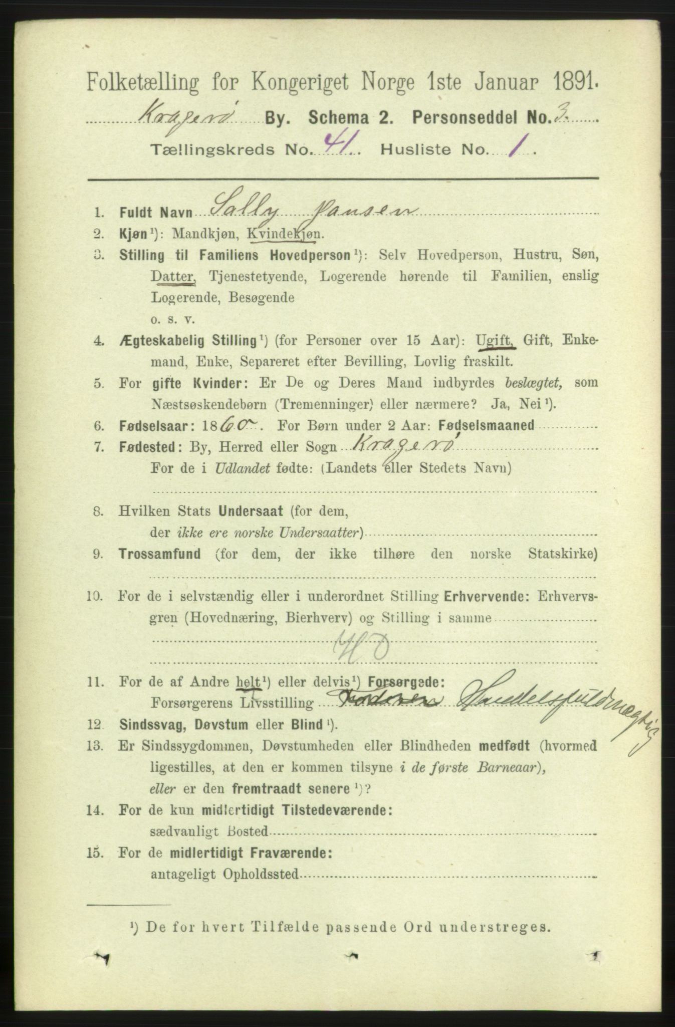 RA, 1891 census for 0801 Kragerø, 1891, p. 7511