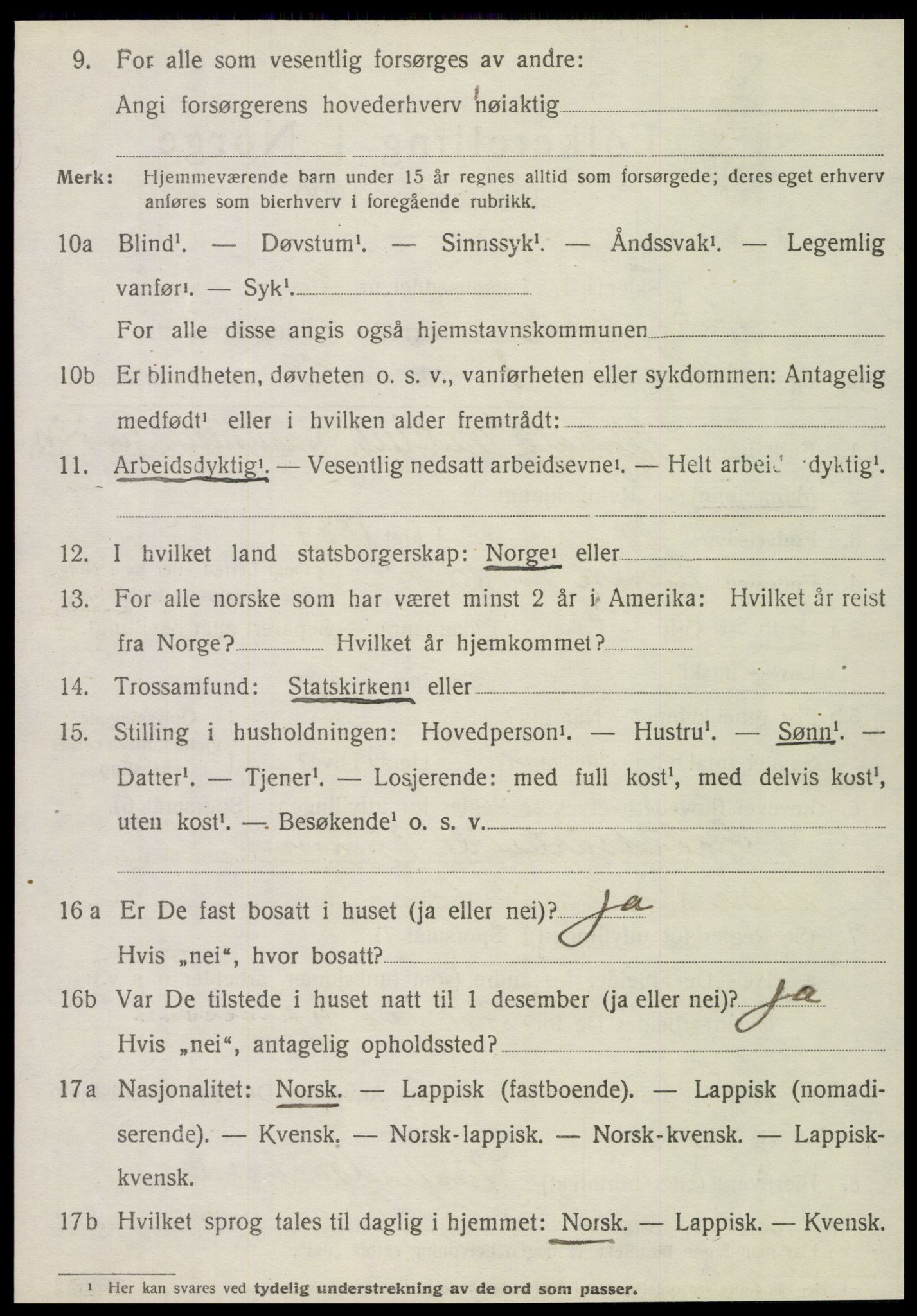 SAT, 1920 census for Hattfjelldal, 1920, p. 955