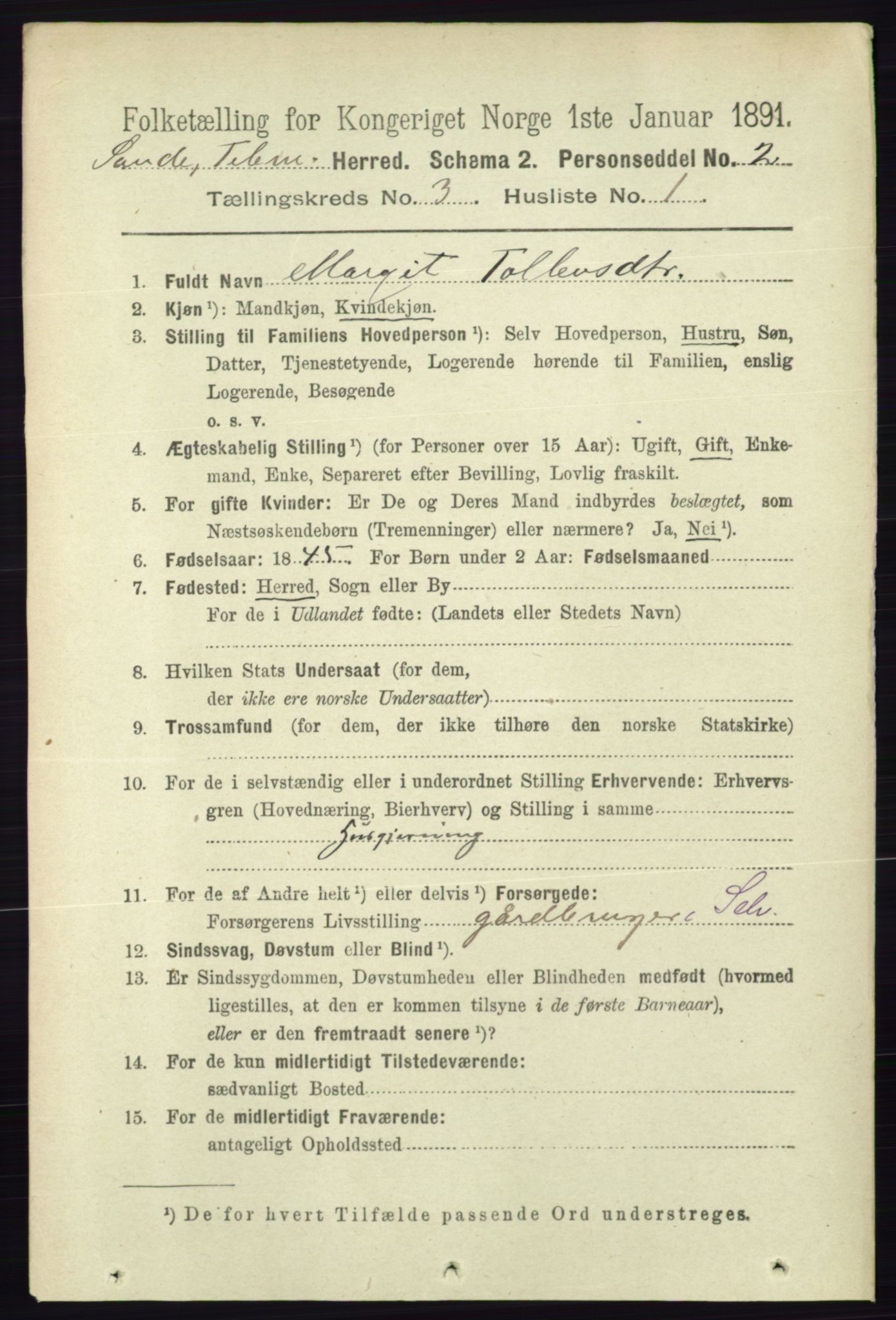 RA, 1891 census for 0822 Sauherad, 1891, p. 732