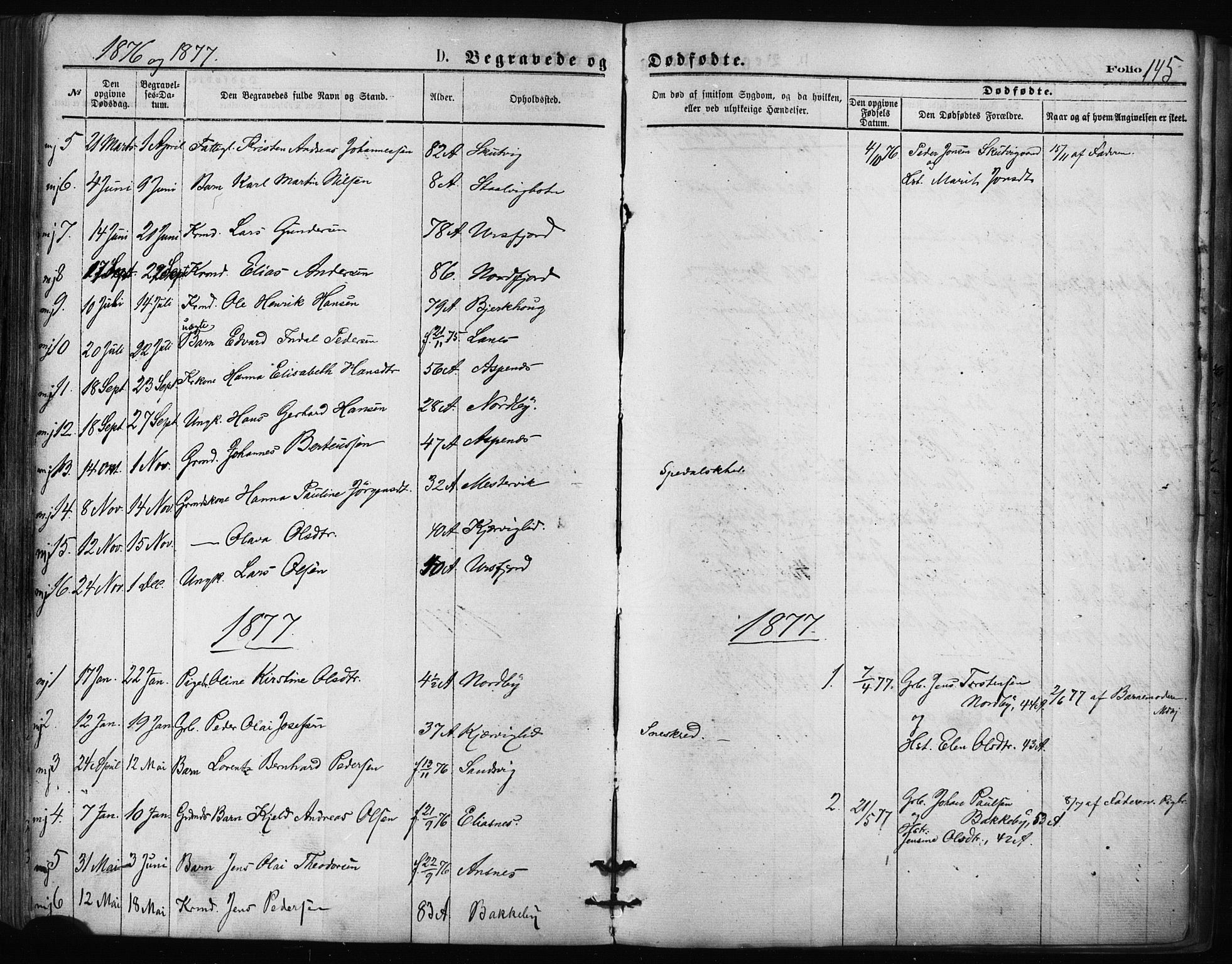 Balsfjord sokneprestembete, SATØ/S-1303/G/Ga/L0002kirke: Parish register (official) no. 2, 1871-1886, p. 145