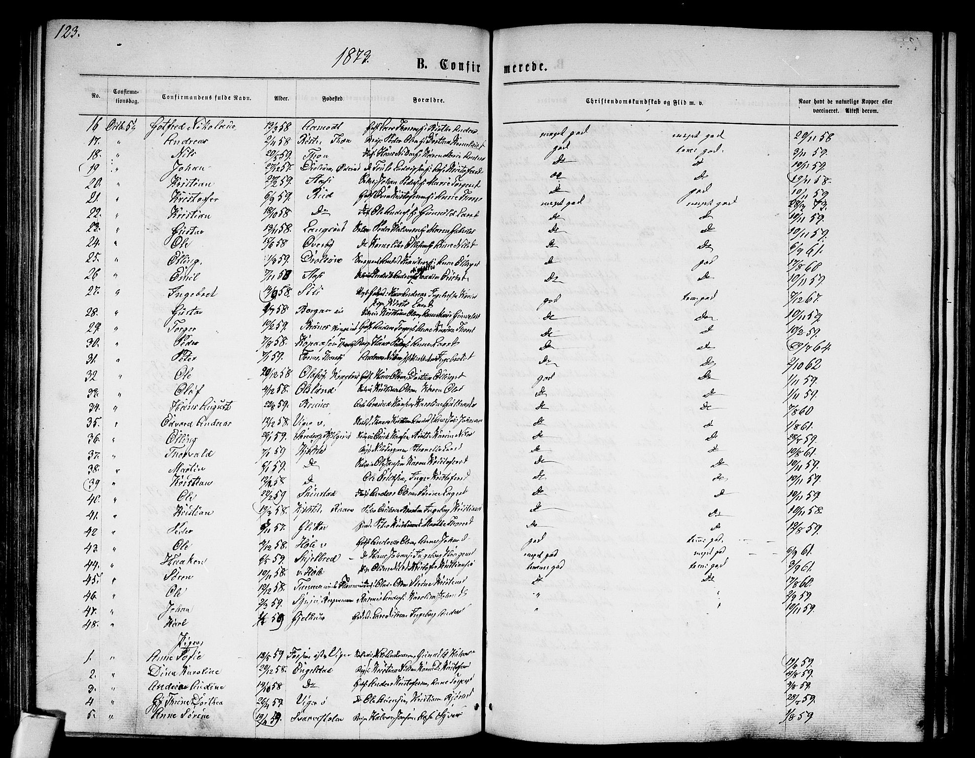 Modum kirkebøker, AV/SAKO-A-234/G/Ga/L0007: Parish register (copy) no. I 7, 1869-1878, p. 123