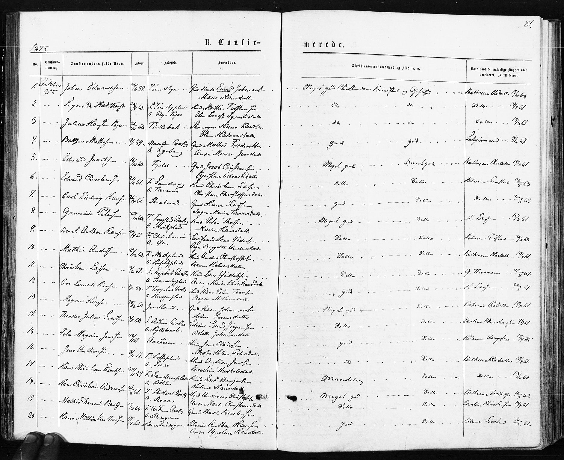 Spydeberg prestekontor Kirkebøker, SAO/A-10924/F/Fa/L0007: Parish register (official) no. I 7, 1875-1885, p. 81