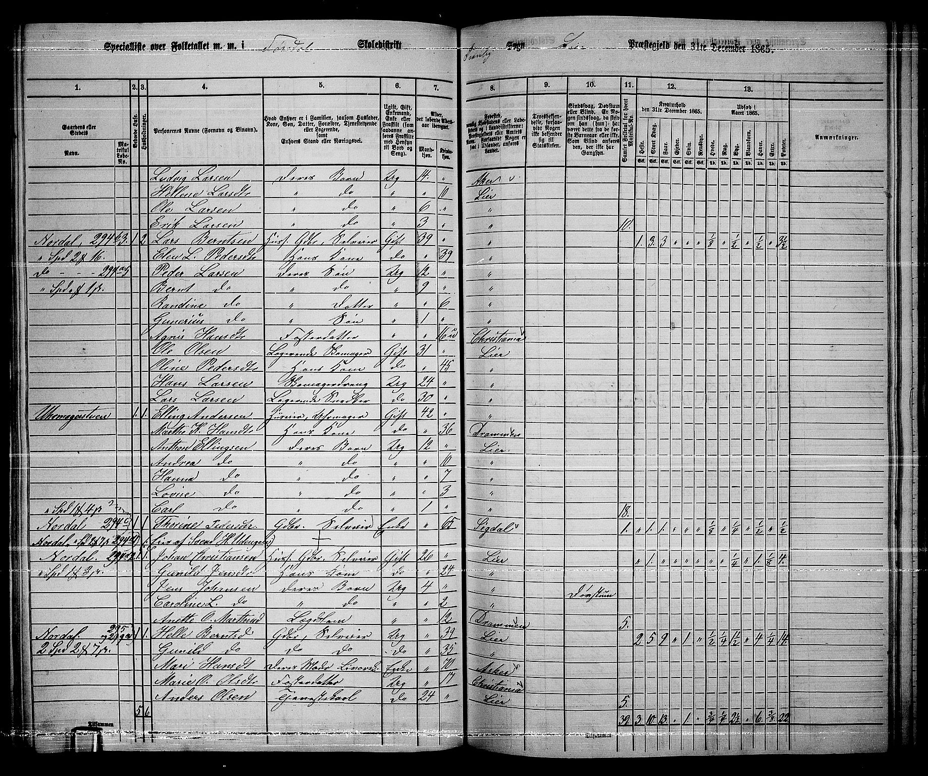 RA, 1865 census for Lier, 1865, p. 161