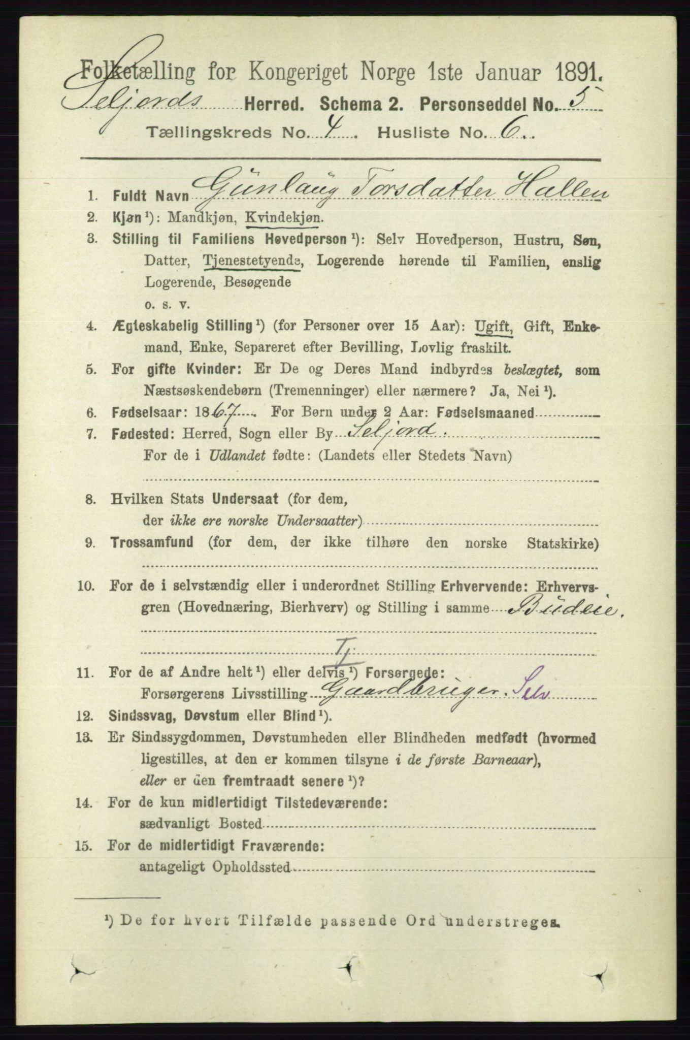 RA, 1891 census for 0828 Seljord, 1891, p. 1324