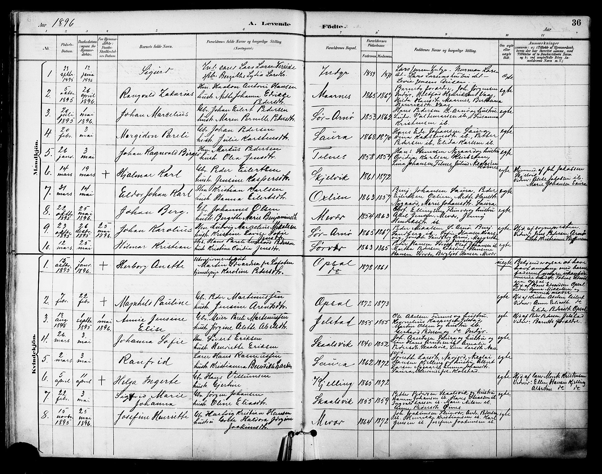 Ministerialprotokoller, klokkerbøker og fødselsregistre - Nordland, AV/SAT-A-1459/805/L0101: Parish register (official) no. 805A07, 1892-1899, p. 36