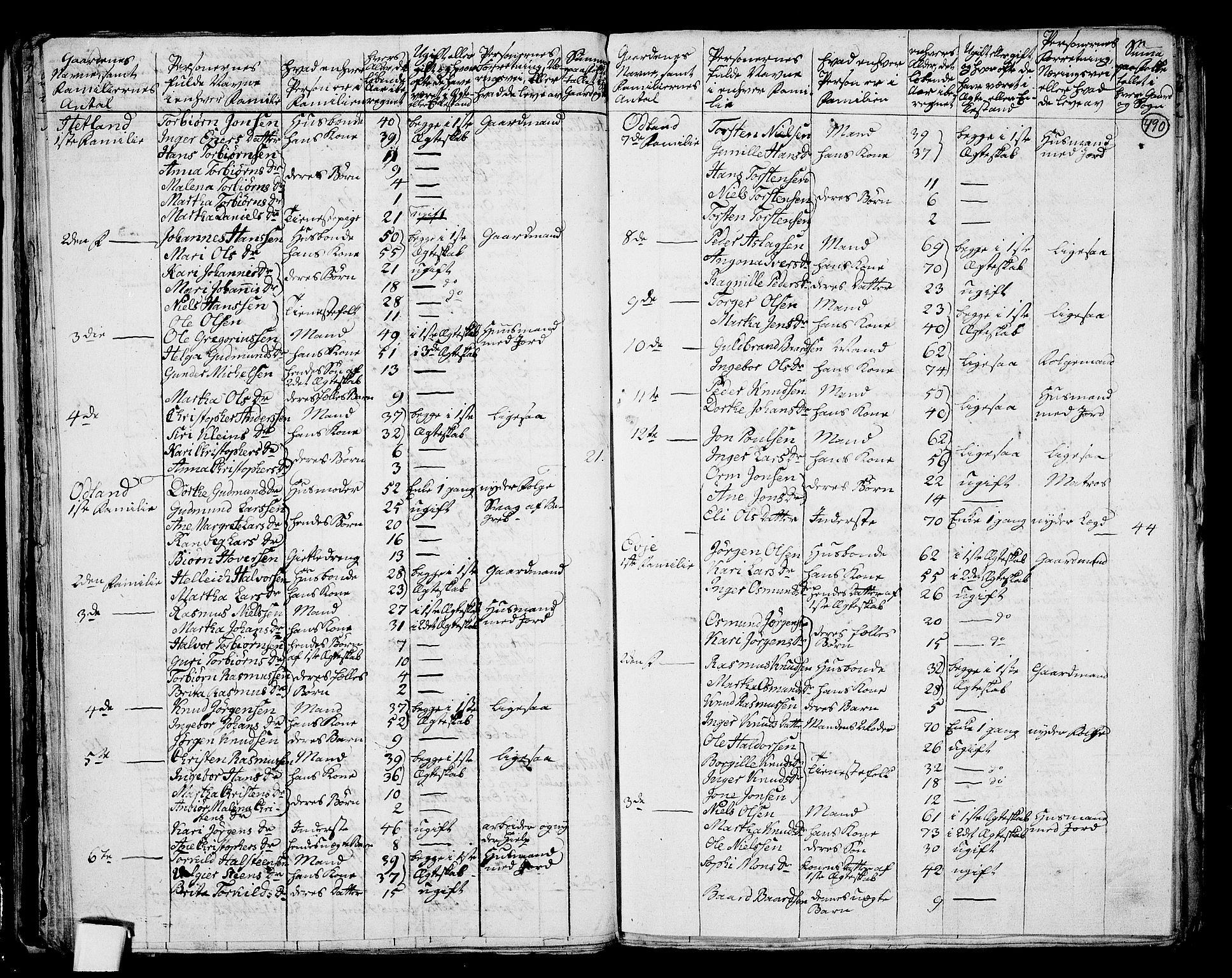 RA, 1801 census for 1154P Skjold, 1801, p. 489b-490a