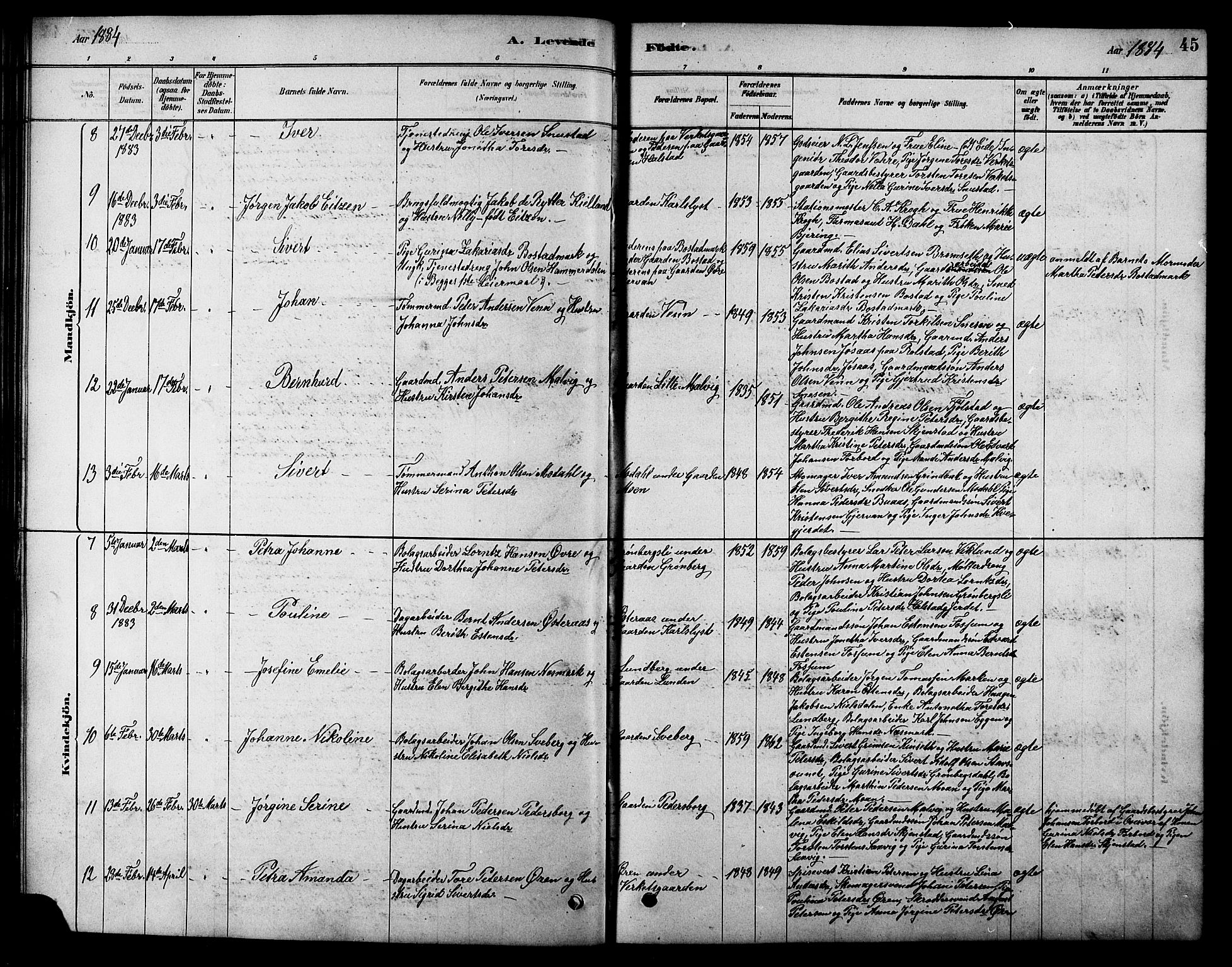 Ministerialprotokoller, klokkerbøker og fødselsregistre - Sør-Trøndelag, SAT/A-1456/616/L0423: Parish register (copy) no. 616C06, 1878-1903, p. 45