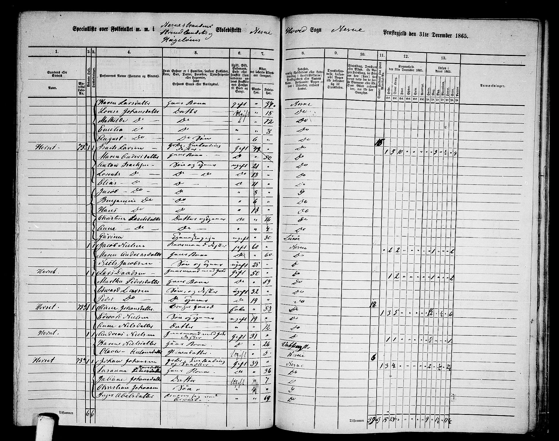 RA, 1865 census for Nesna, 1865, p. 133