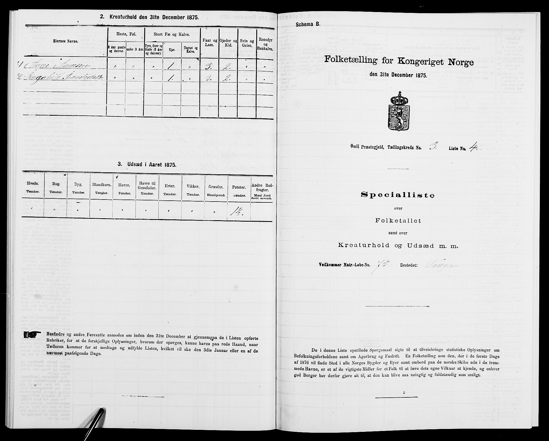 SAK, 1875 census for 0929P Åmli, 1875, p. 249