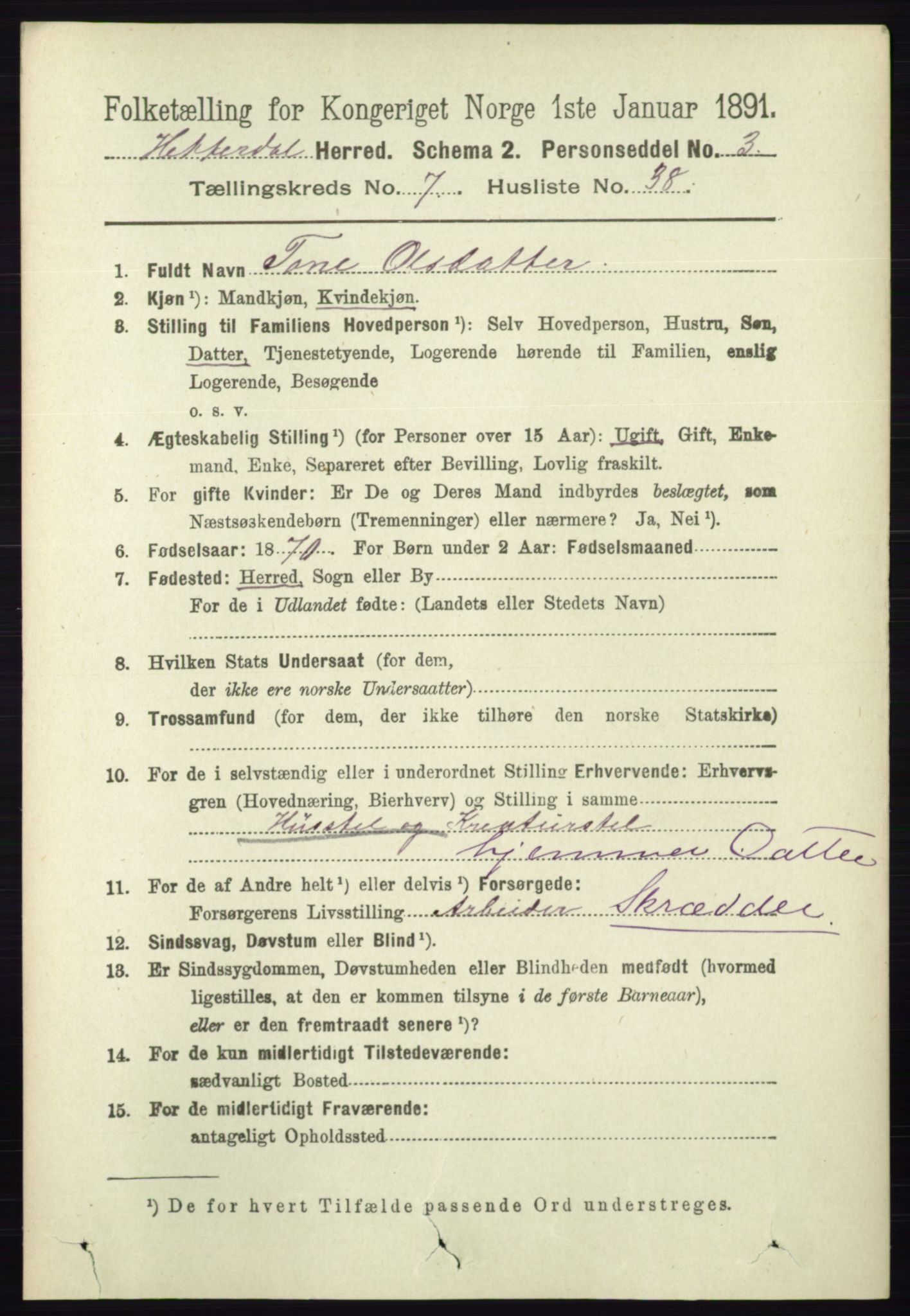 RA, 1891 census for 0823 Heddal, 1891, p. 3228