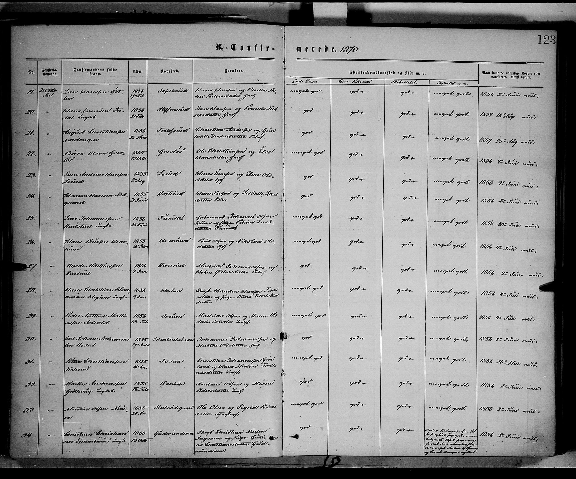 Vestre Toten prestekontor, SAH/PREST-108/H/Ha/Haa/L0008: Parish register (official) no. 8, 1870-1877, p. 123