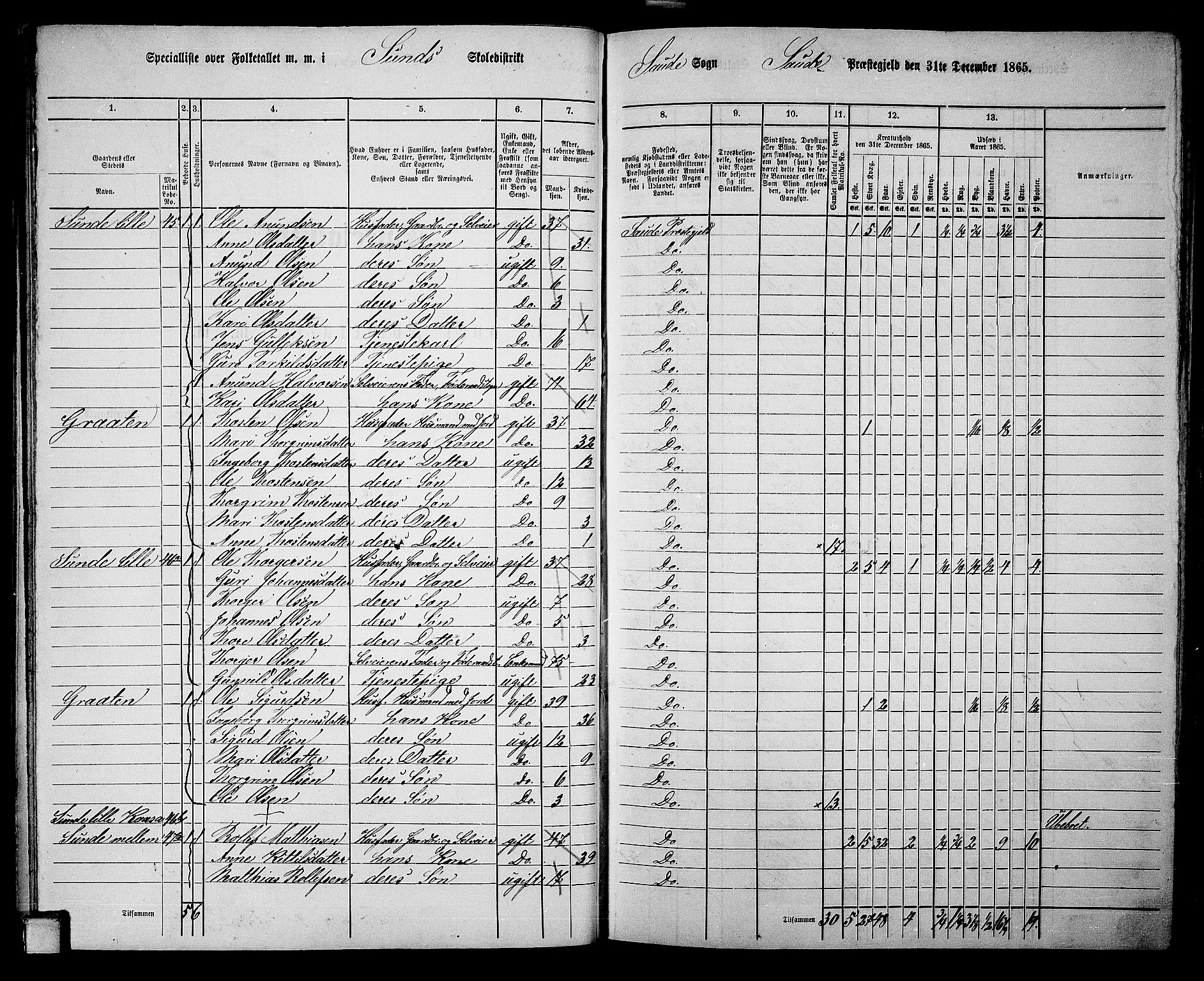 RA, 1865 census for Sauherad, 1865, p. 45