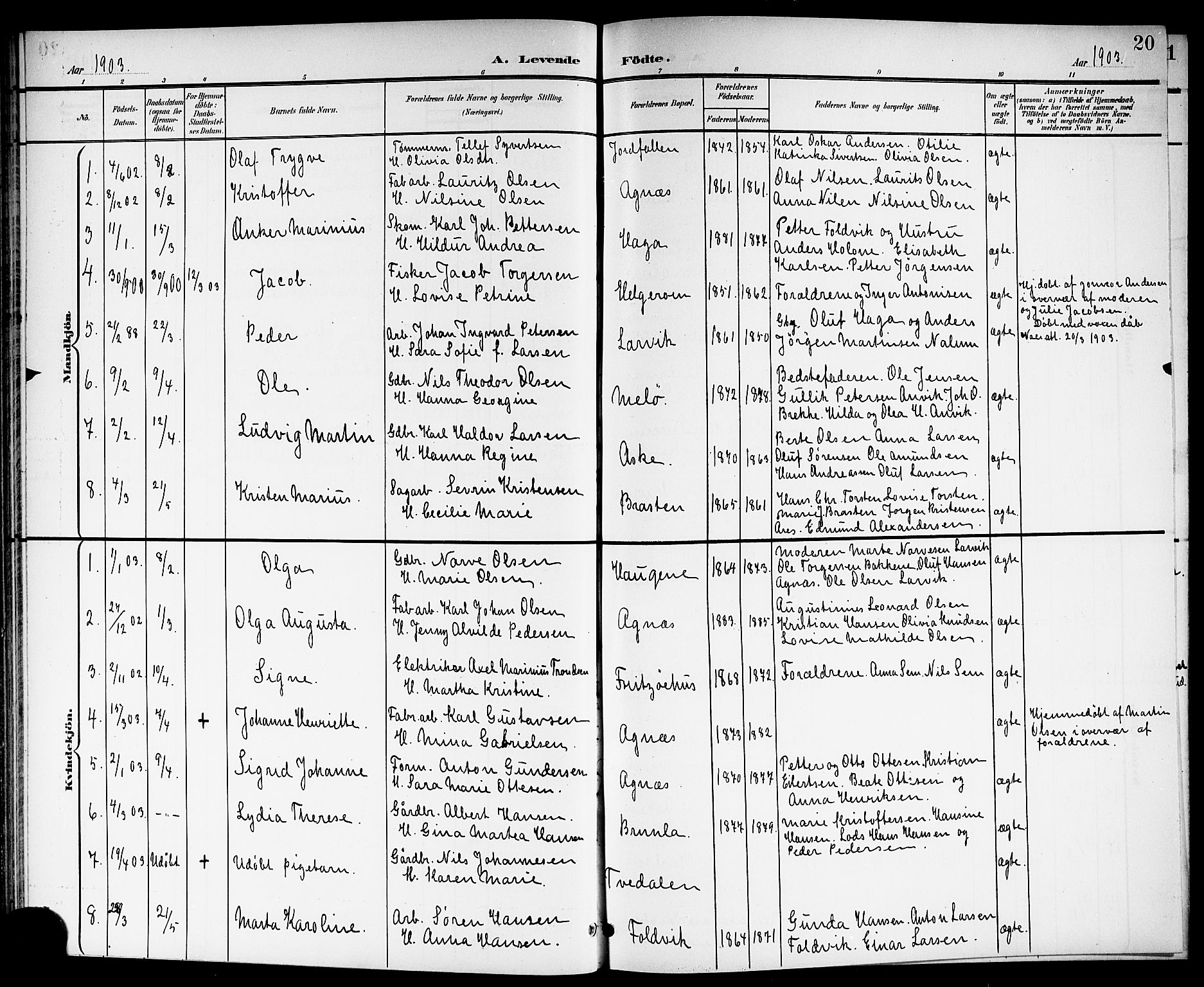 Brunlanes kirkebøker, AV/SAKO-A-342/G/Ga/L0004: Parish register (copy) no. I 4, 1898-1921, p. 20