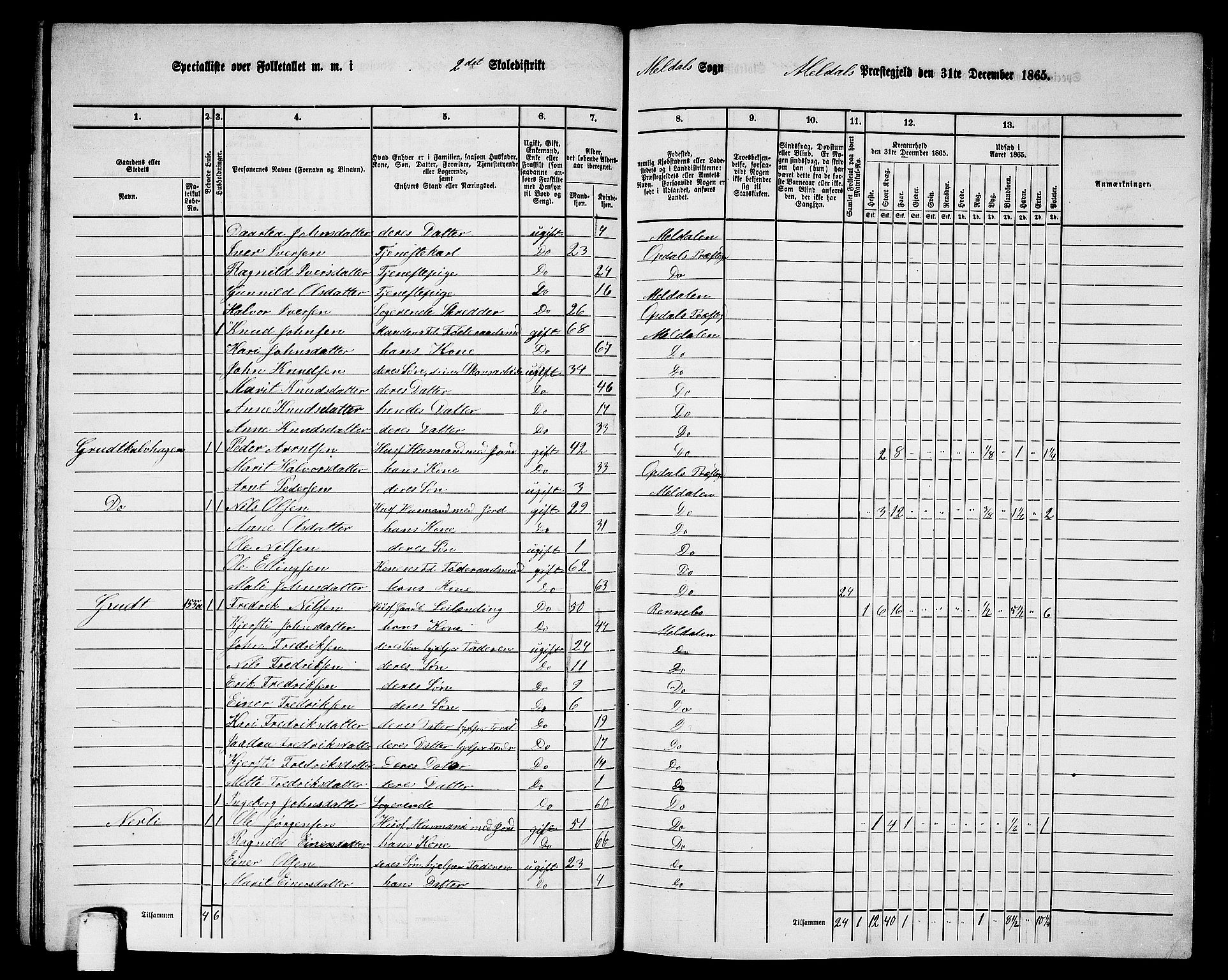 RA, 1865 census for Meldal, 1865, p. 52