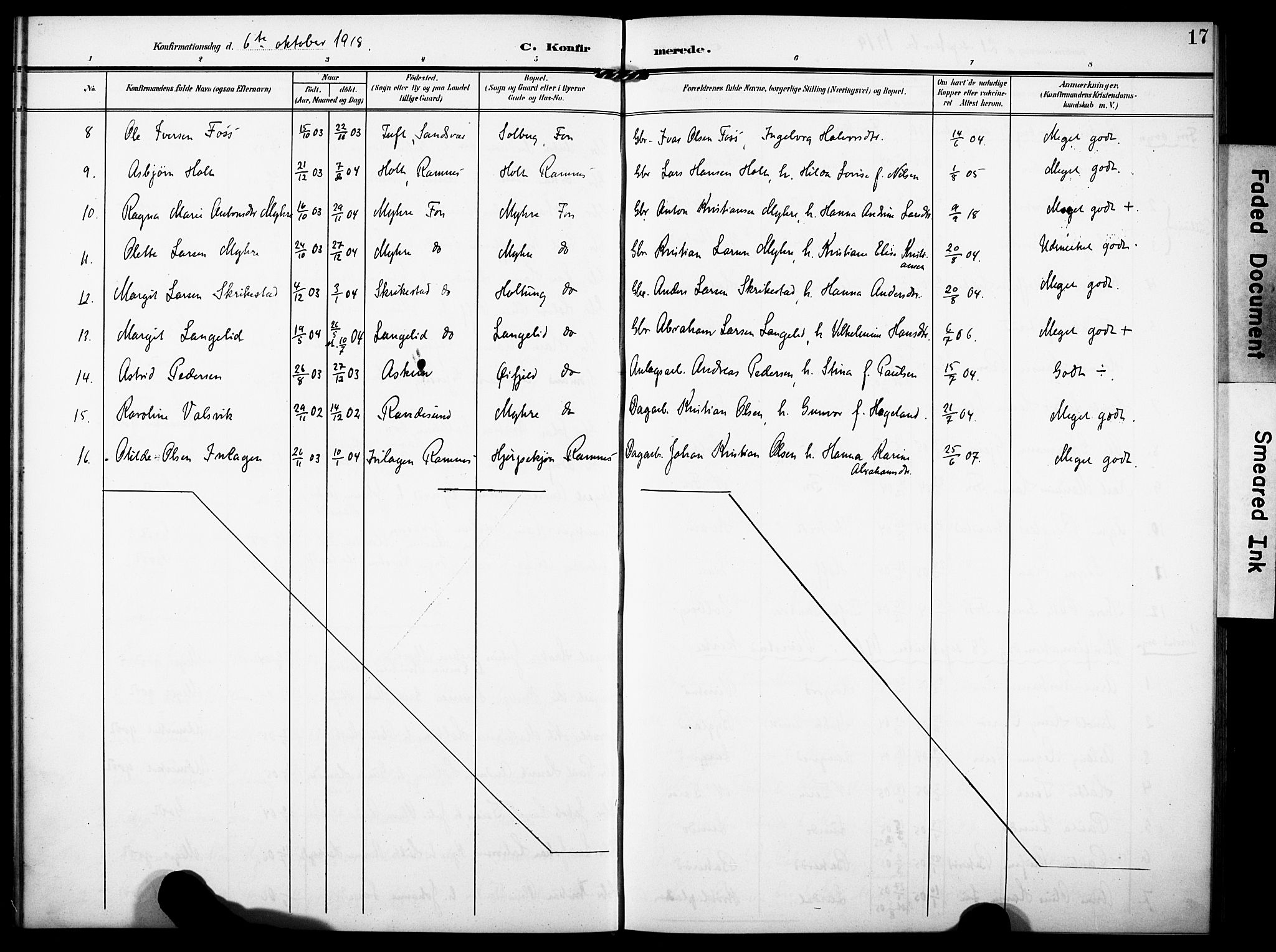 Ramnes kirkebøker, AV/SAKO-A-314/F/Fd/L0004: Curate's parish register no. IV 4, 1907-1919, p. 17