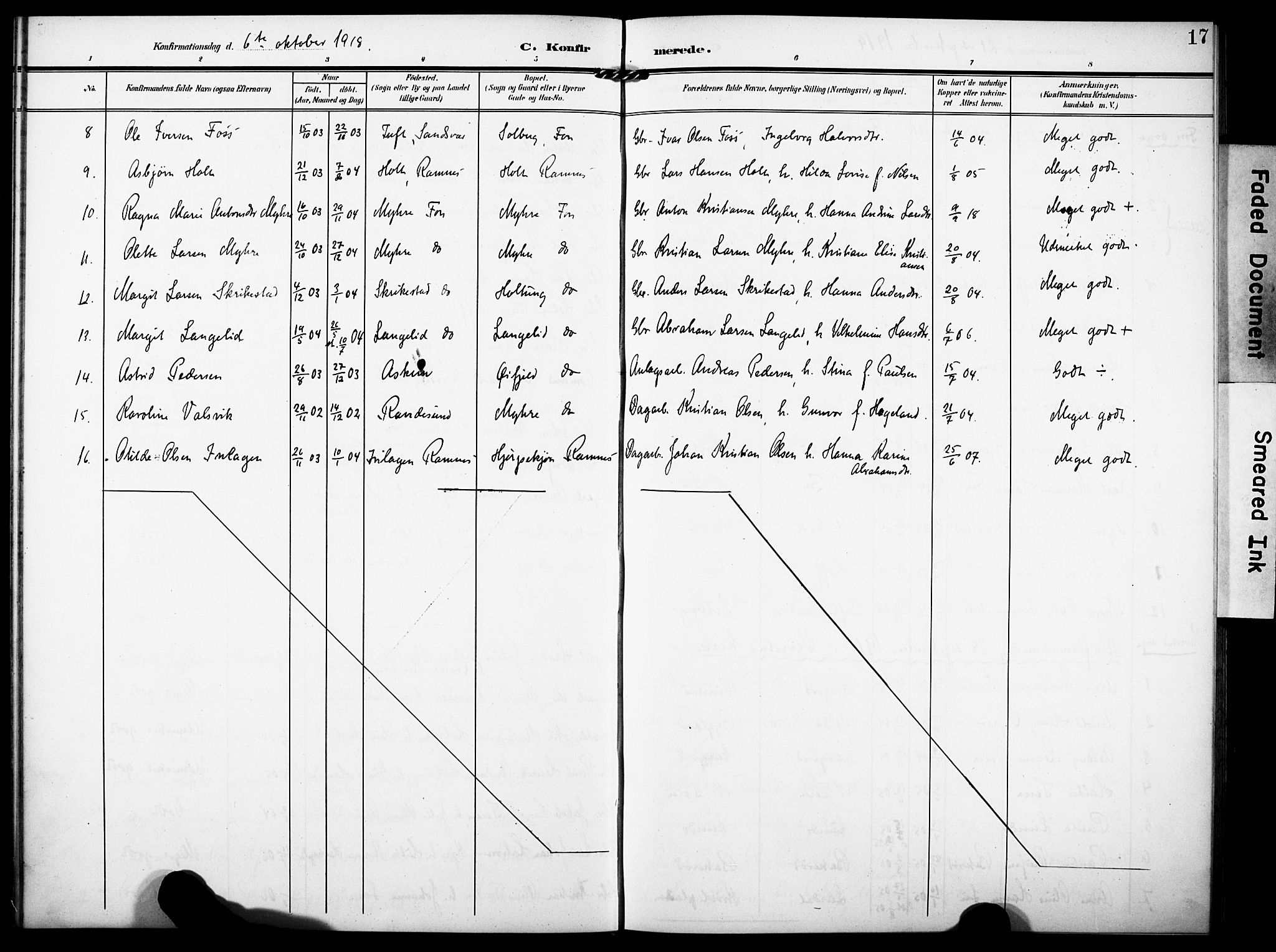 Ramnes kirkebøker, AV/SAKO-A-314/F/Fd/L0004: Curate's parish register no. IV 4, 1907-1919, p. 17