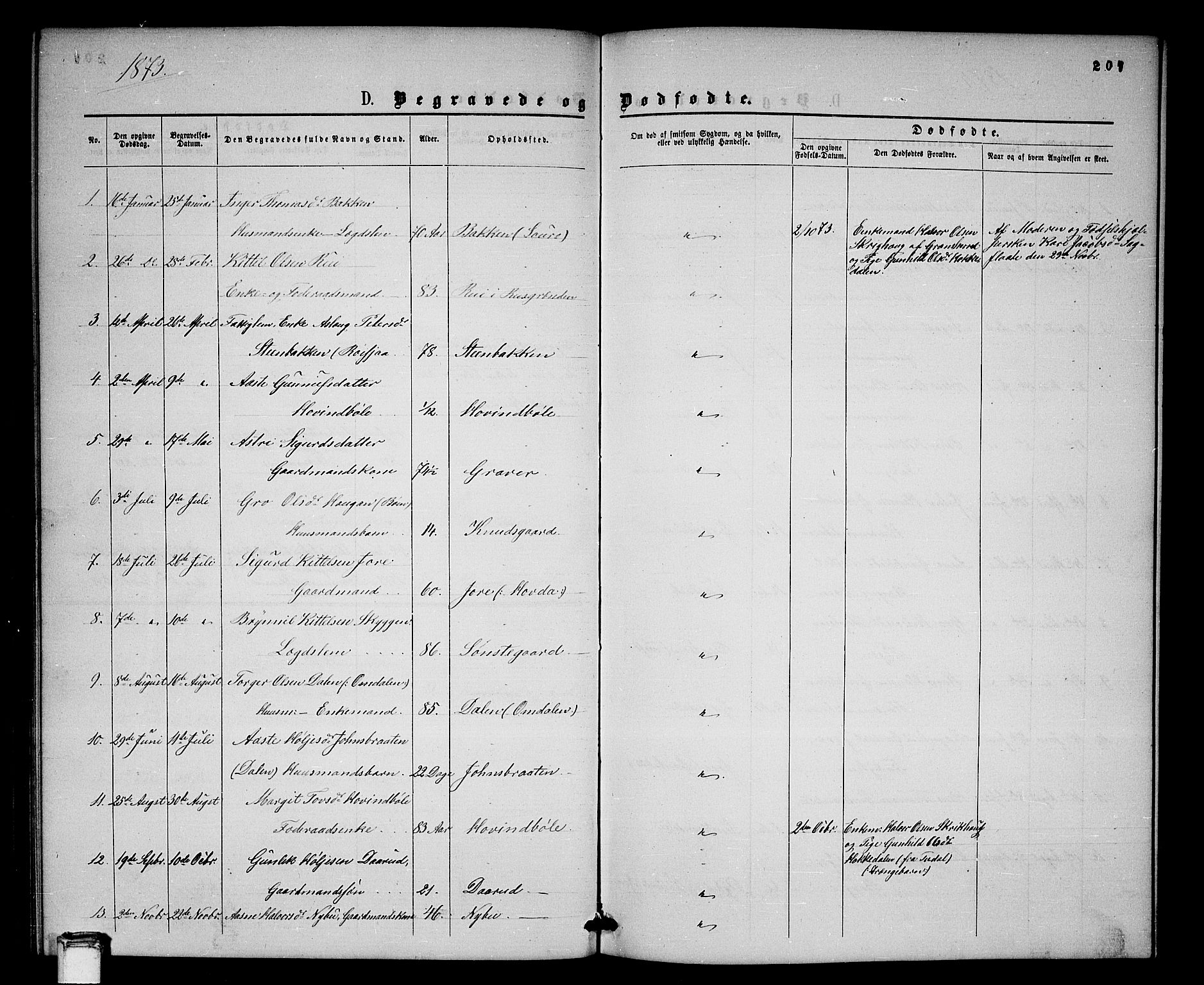 Gransherad kirkebøker, SAKO/A-267/G/Gb/L0002: Parish register (copy) no. II 2, 1860-1886, p. 207