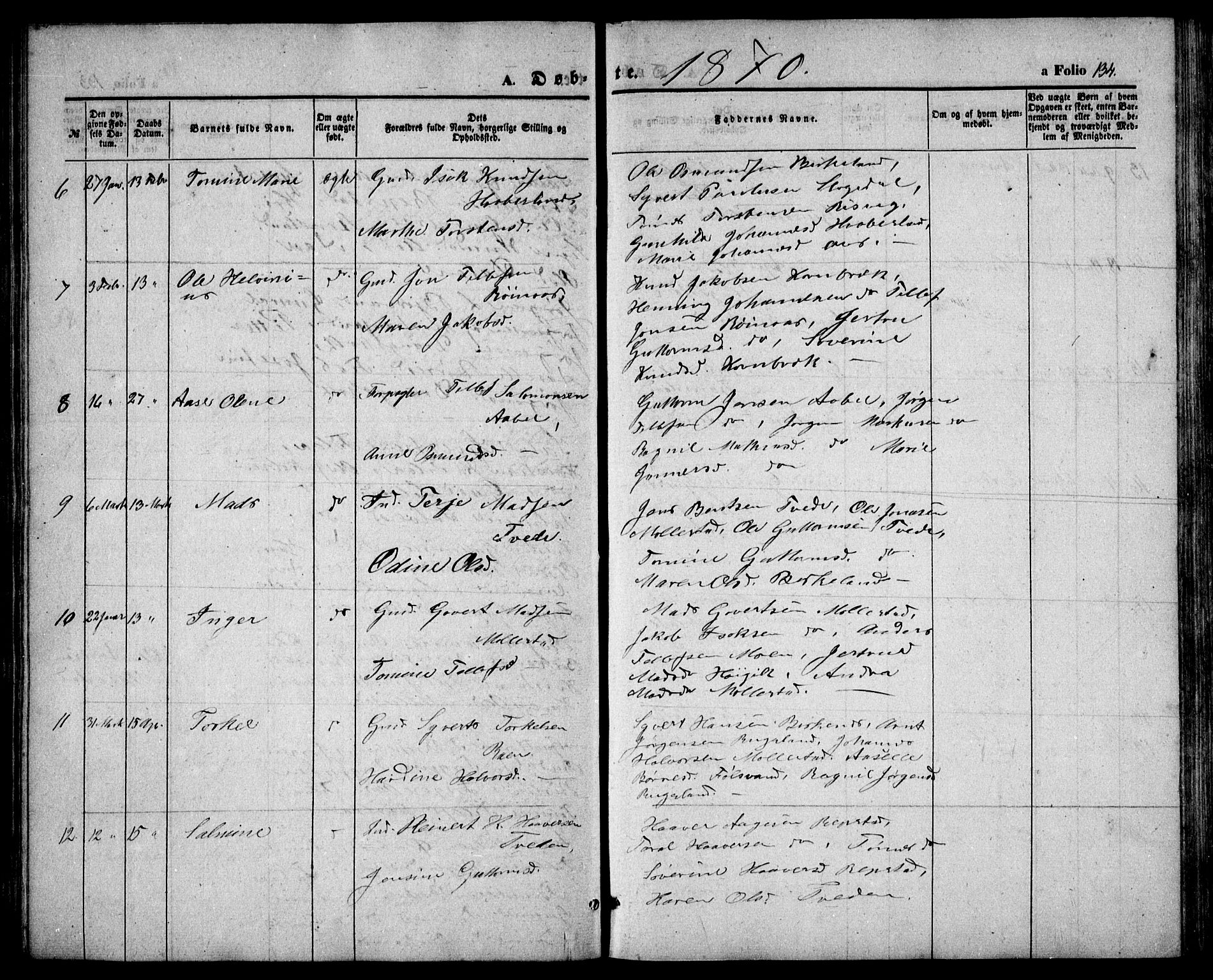 Birkenes sokneprestkontor, AV/SAK-1111-0004/F/Fb/L0002: Parish register (copy) no. B 2, 1849-1876, p. 134