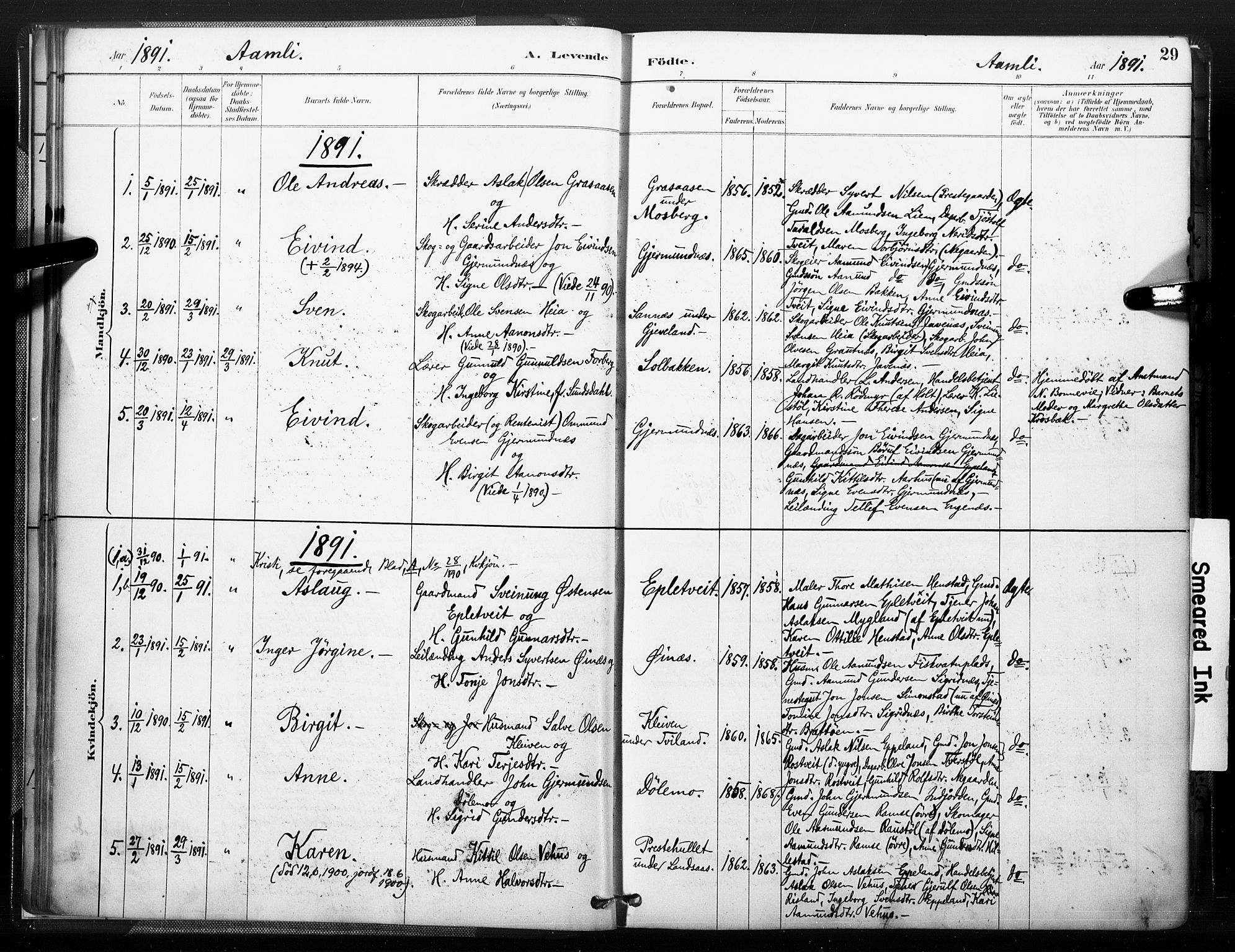 Åmli sokneprestkontor, AV/SAK-1111-0050/F/Fa/Fac/L0010: Parish register (official) no. A 10 /1, 1885-1899, p. 29