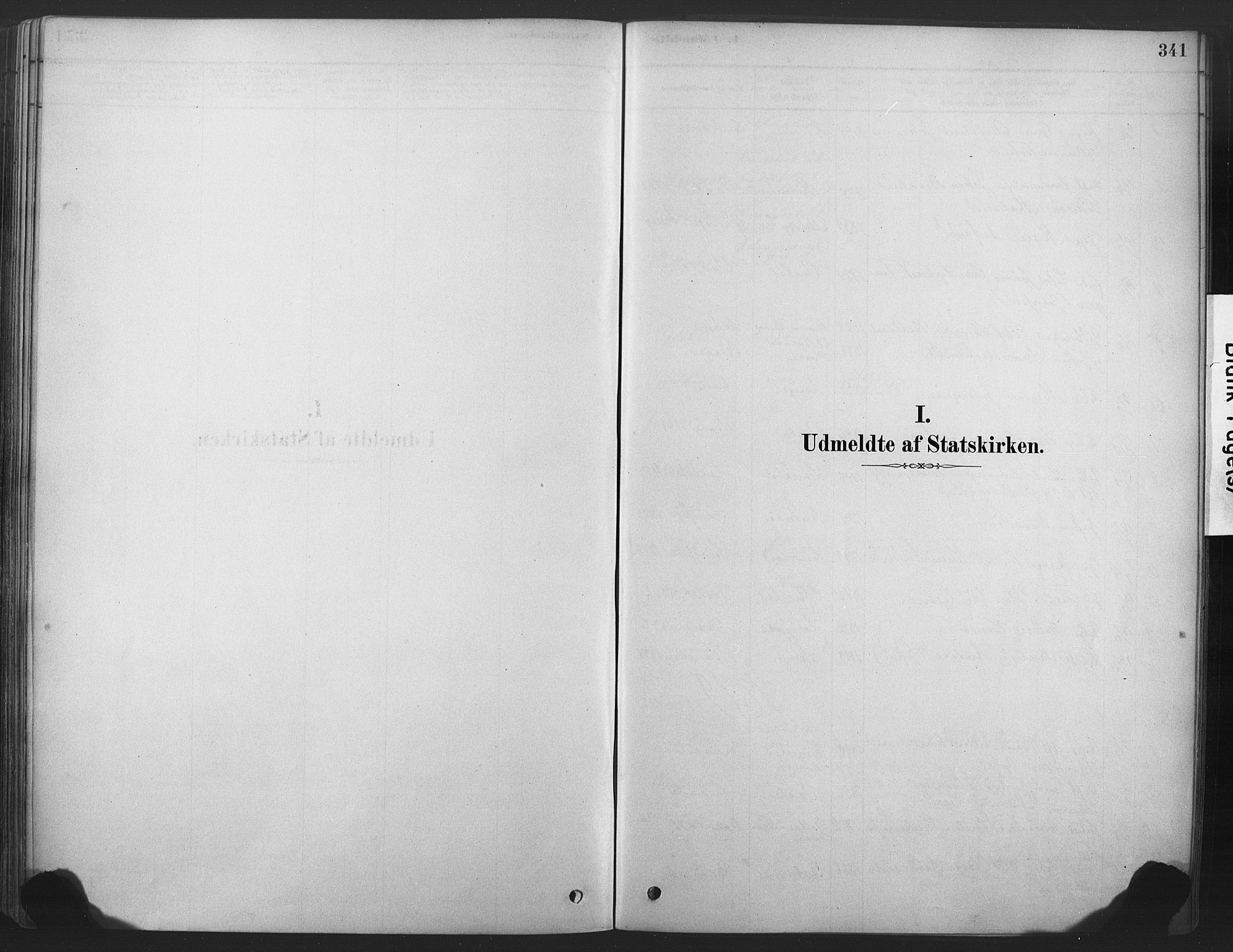 Våle kirkebøker, AV/SAKO-A-334/F/Fa/L0011: Parish register (official) no. I 11, 1878-1906, p. 341