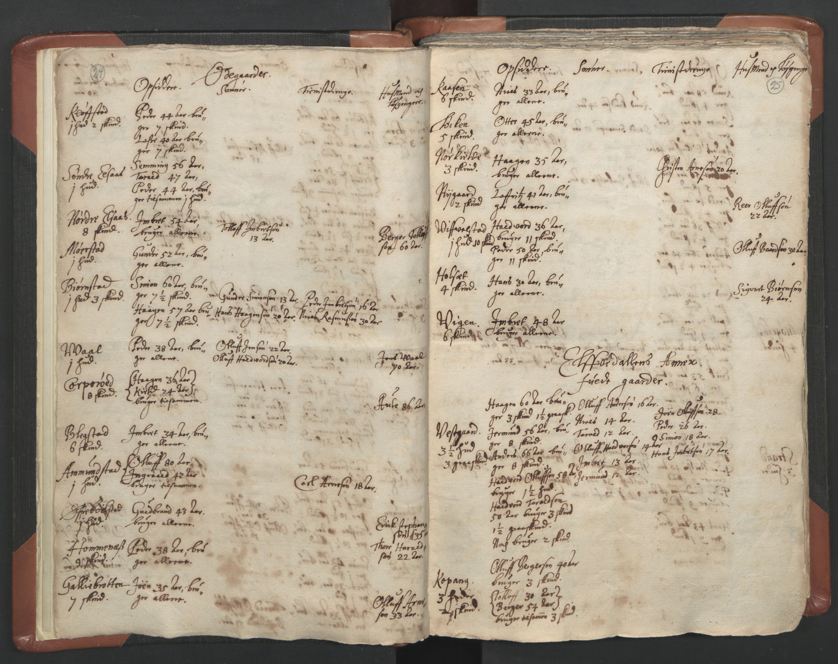 RA, Vicar's Census 1664-1666, no. 5: Hedmark deanery, 1664-1666, p. 24-25