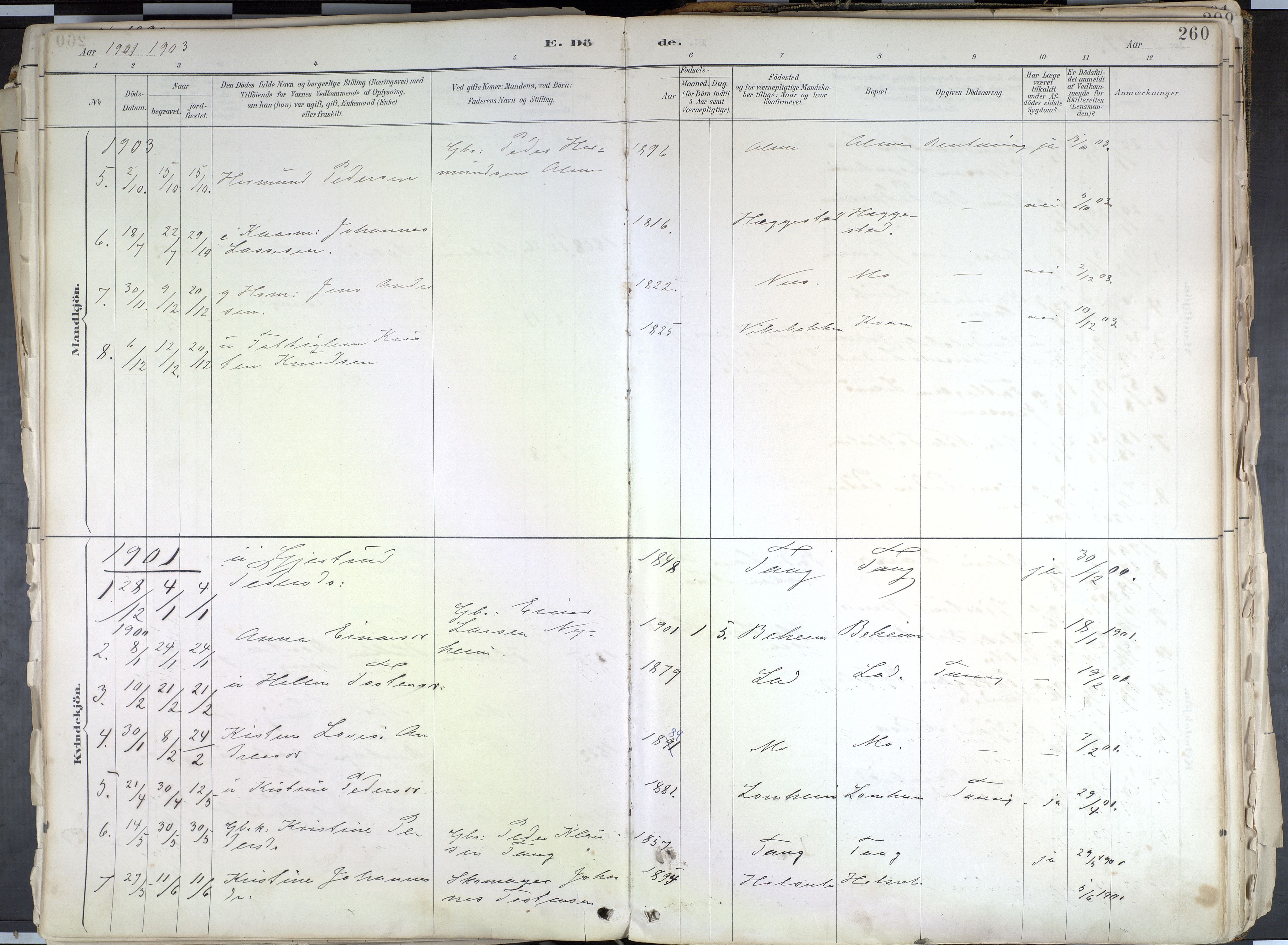 Hafslo sokneprestembete, AV/SAB-A-80301/H/Haa/Haab/L0001: Parish register (official) no. B 1, 1886-1945, p. 260