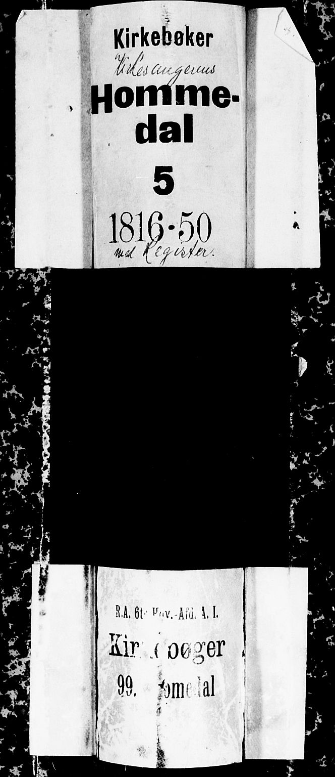 Hommedal sokneprestkontor, SAK/1111-0023/F/Fb/Fbb/L0003: Parish register (copy) no. B 3 /2, 1816-1850