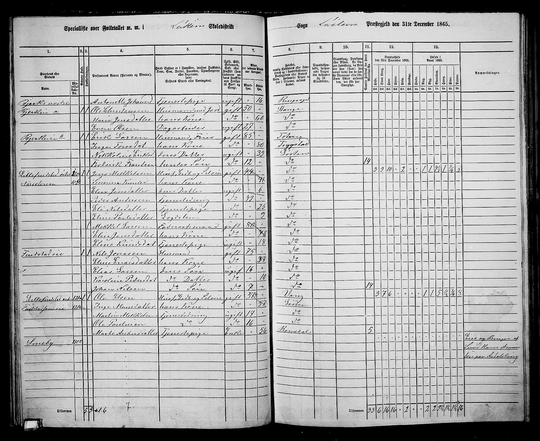 RA, 1865 census for Løten, 1865, p. 55