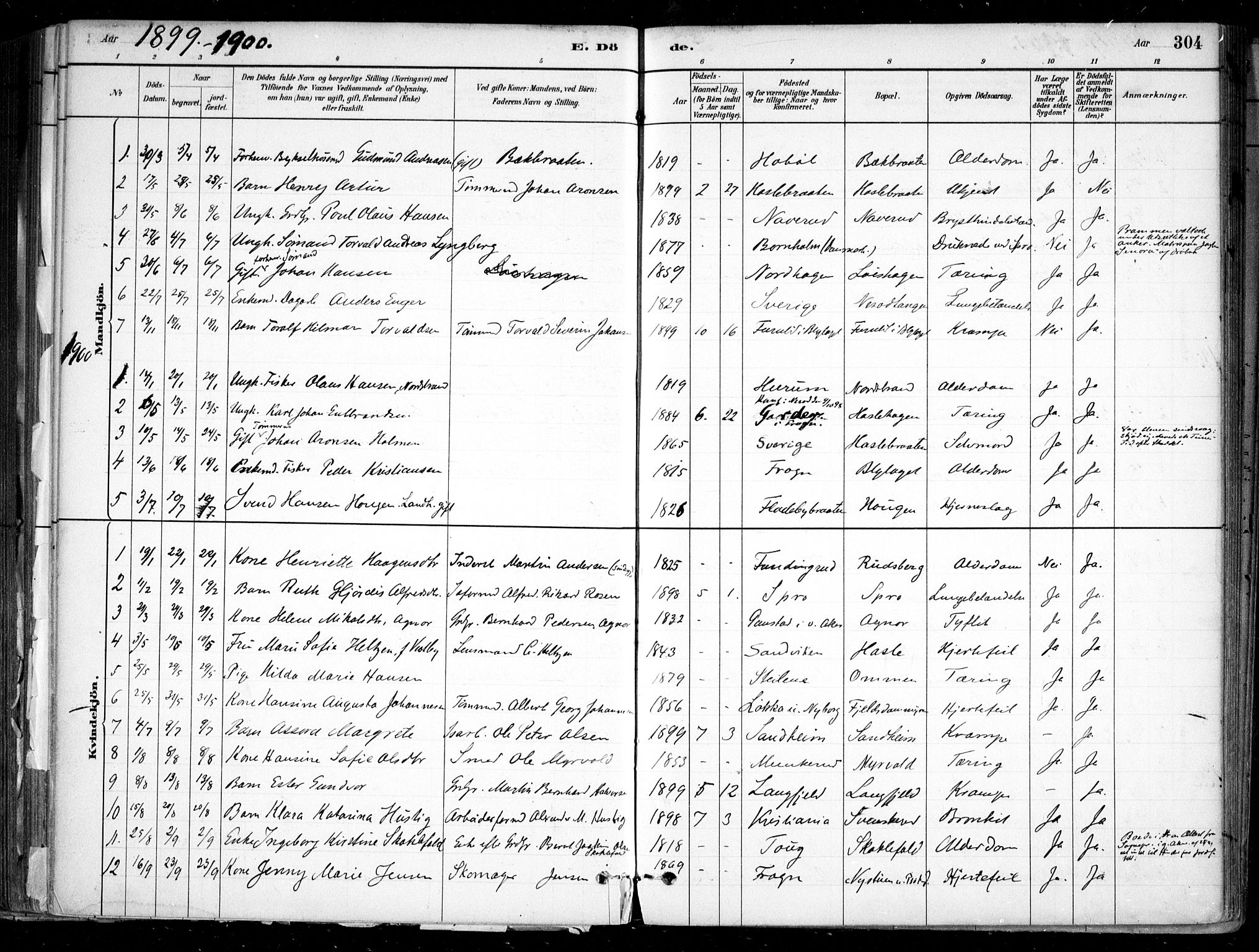 Nesodden prestekontor Kirkebøker, SAO/A-10013/F/Fa/L0009: Parish register (official) no. I 9, 1880-1915, p. 304