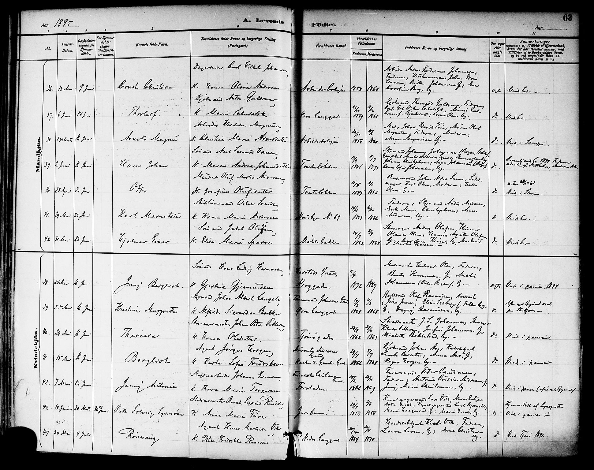 Tønsberg kirkebøker, SAKO/A-330/F/Fa/L0012: Parish register (official) no. I 12, 1891-1899, p. 63
