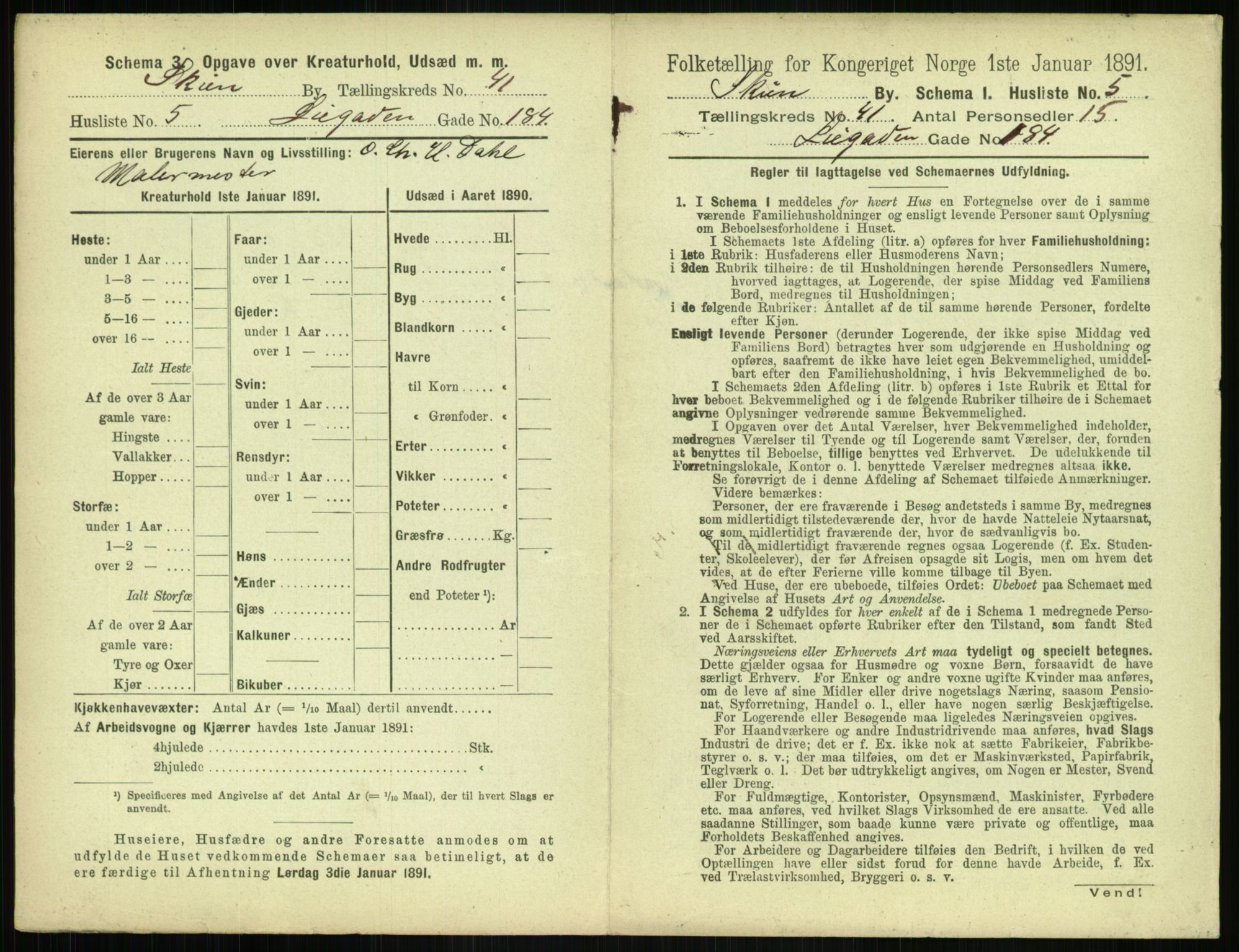 RA, 1891 census for 0806 Skien, 1891, p. 1466