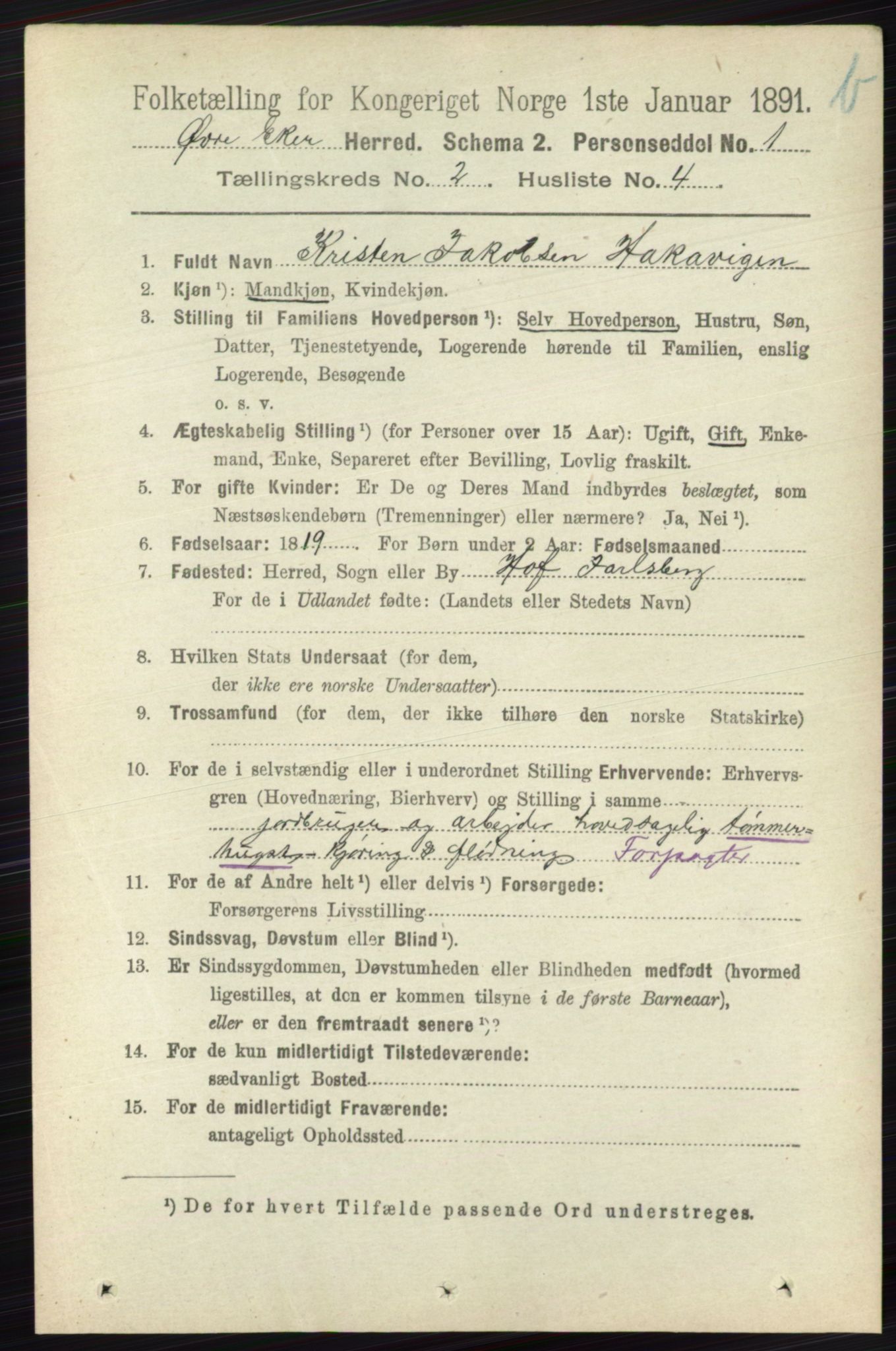 RA, 1891 census for 0624 Øvre Eiker, 1891, p. 8480