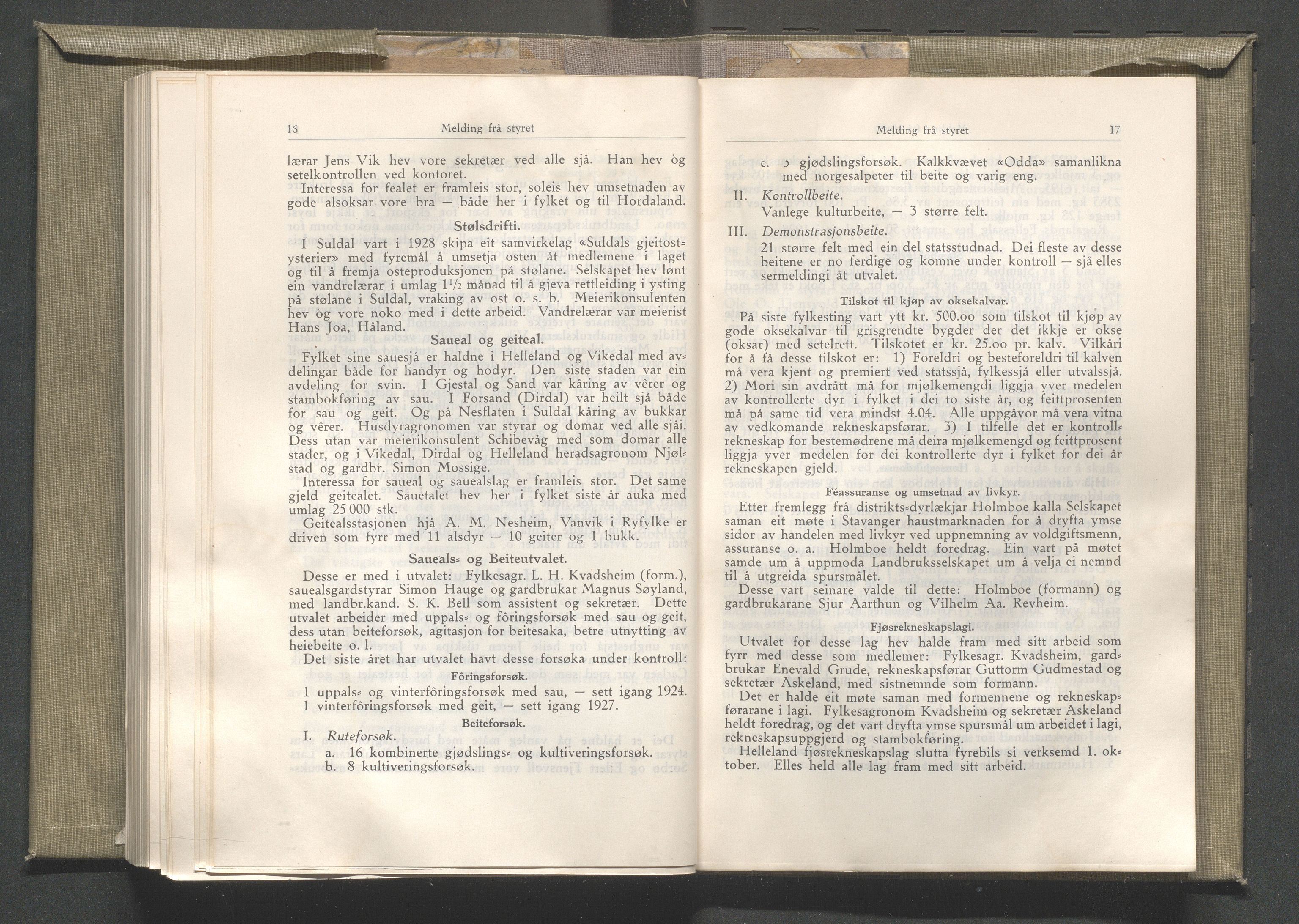 Rogaland fylkeskommune - Fylkesrådmannen , IKAR/A-900/A/Aa/Aaa/L0048: Møtebok , 1929, p. 16-17