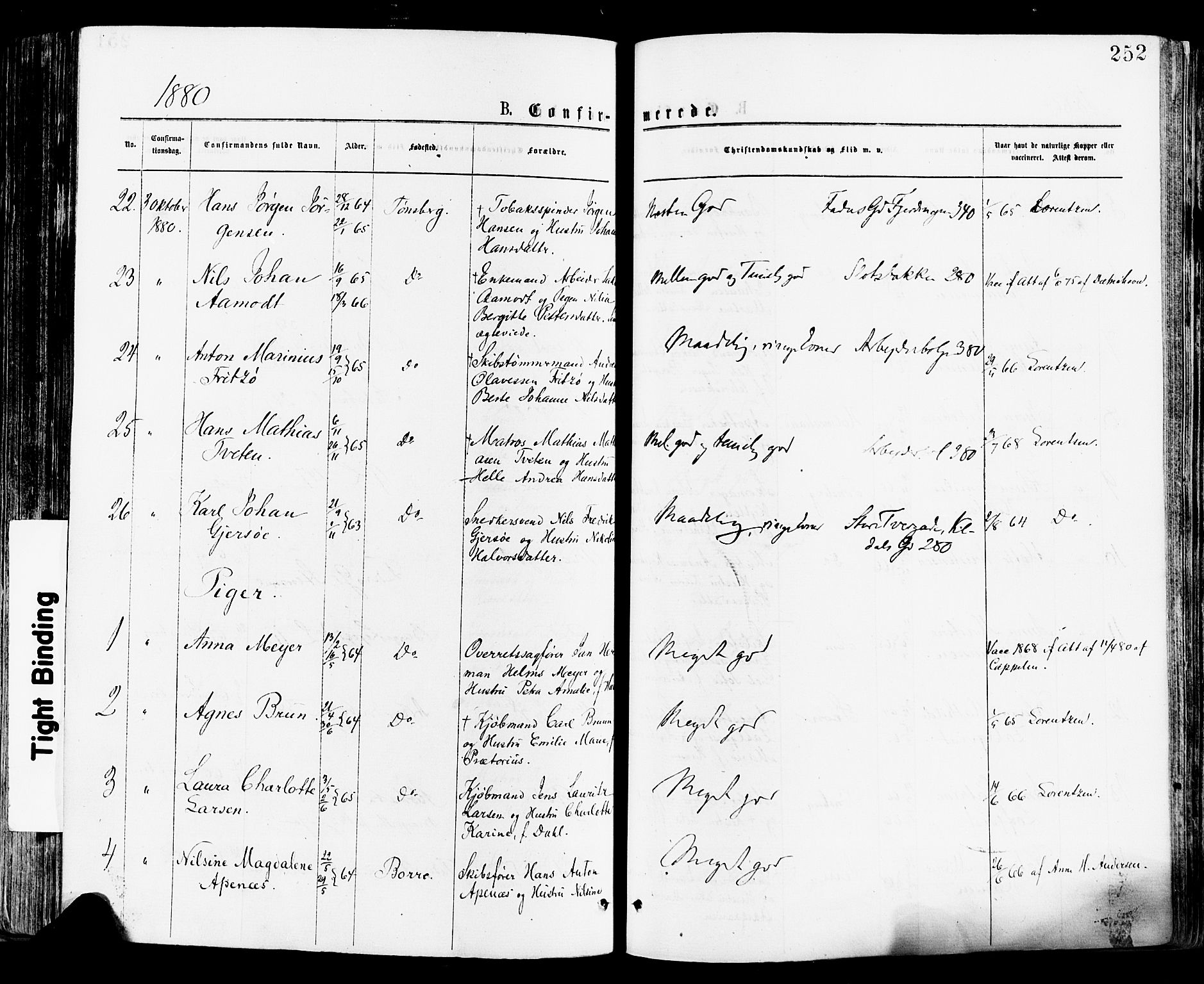 Tønsberg kirkebøker, AV/SAKO-A-330/F/Fa/L0010: Parish register (official) no. I 10, 1874-1880, p. 252